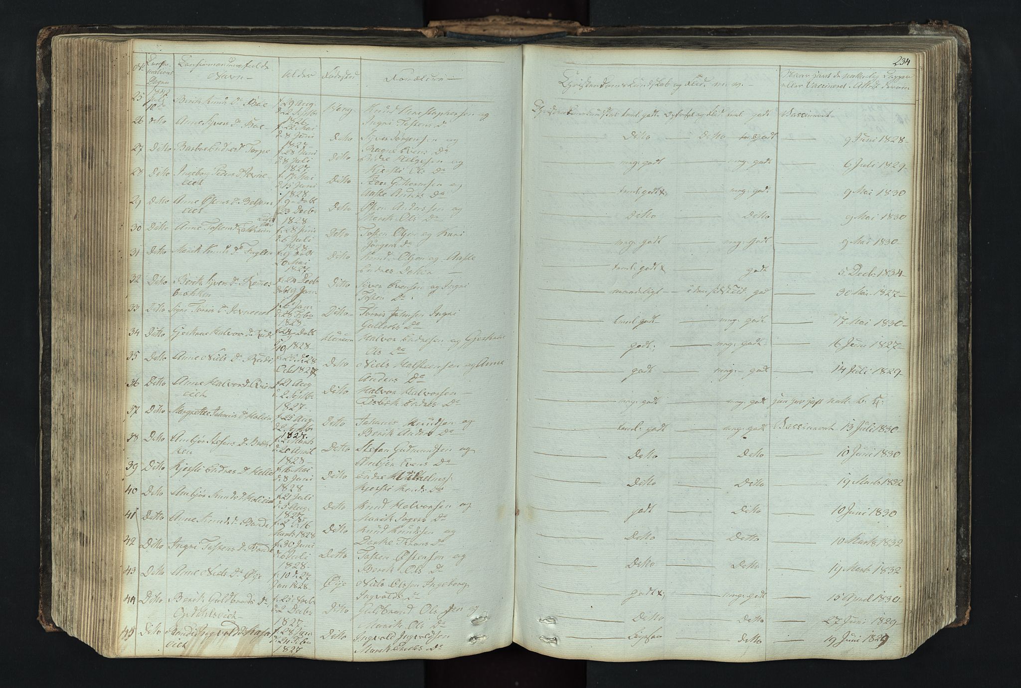 Vang prestekontor, Valdres, SAH/PREST-140/H/Hb/L0004: Parish register (copy) no. 4, 1835-1892, p. 234