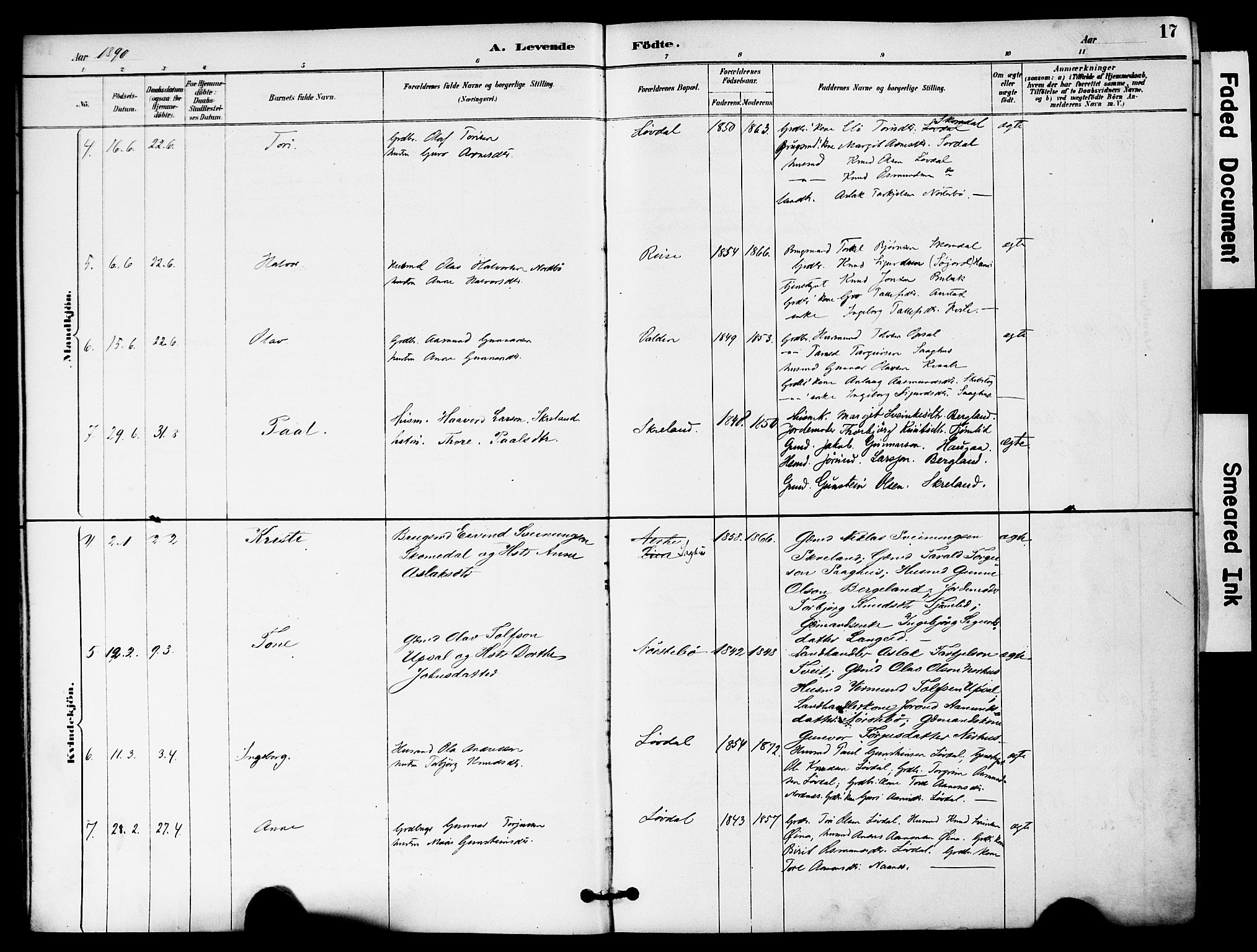 Bygland sokneprestkontor, AV/SAK-1111-0006/F/Fa/Fab/L0007: Parish register (official) no. A 7, 1885-1909, p. 17