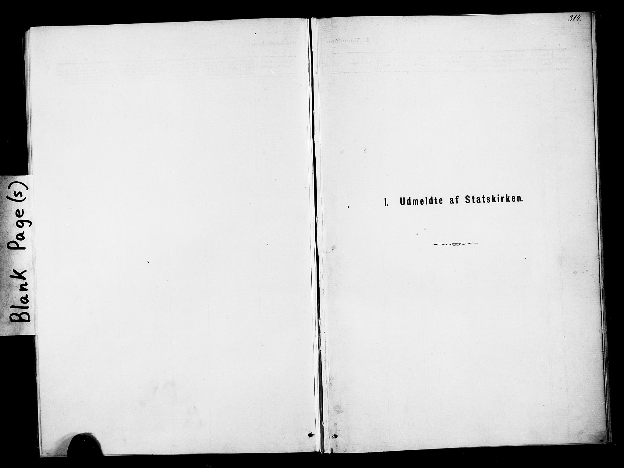 Ministerialprotokoller, klokkerbøker og fødselsregistre - Møre og Romsdal, SAT/A-1454/567/L0778: Parish register (official) no. 567A01, 1881-1903, p. 314