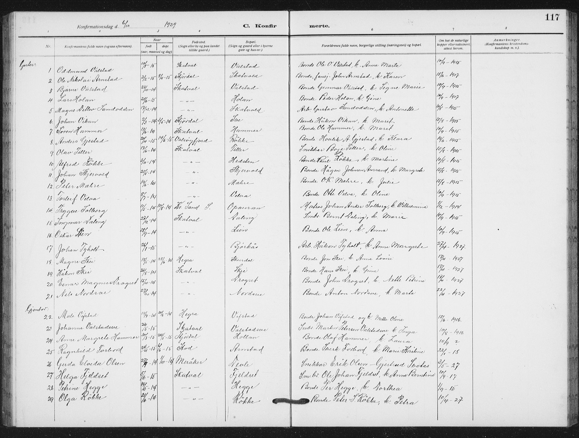 Ministerialprotokoller, klokkerbøker og fødselsregistre - Nord-Trøndelag, AV/SAT-A-1458/712/L0104: Parish register (copy) no. 712C02, 1917-1939, p. 117