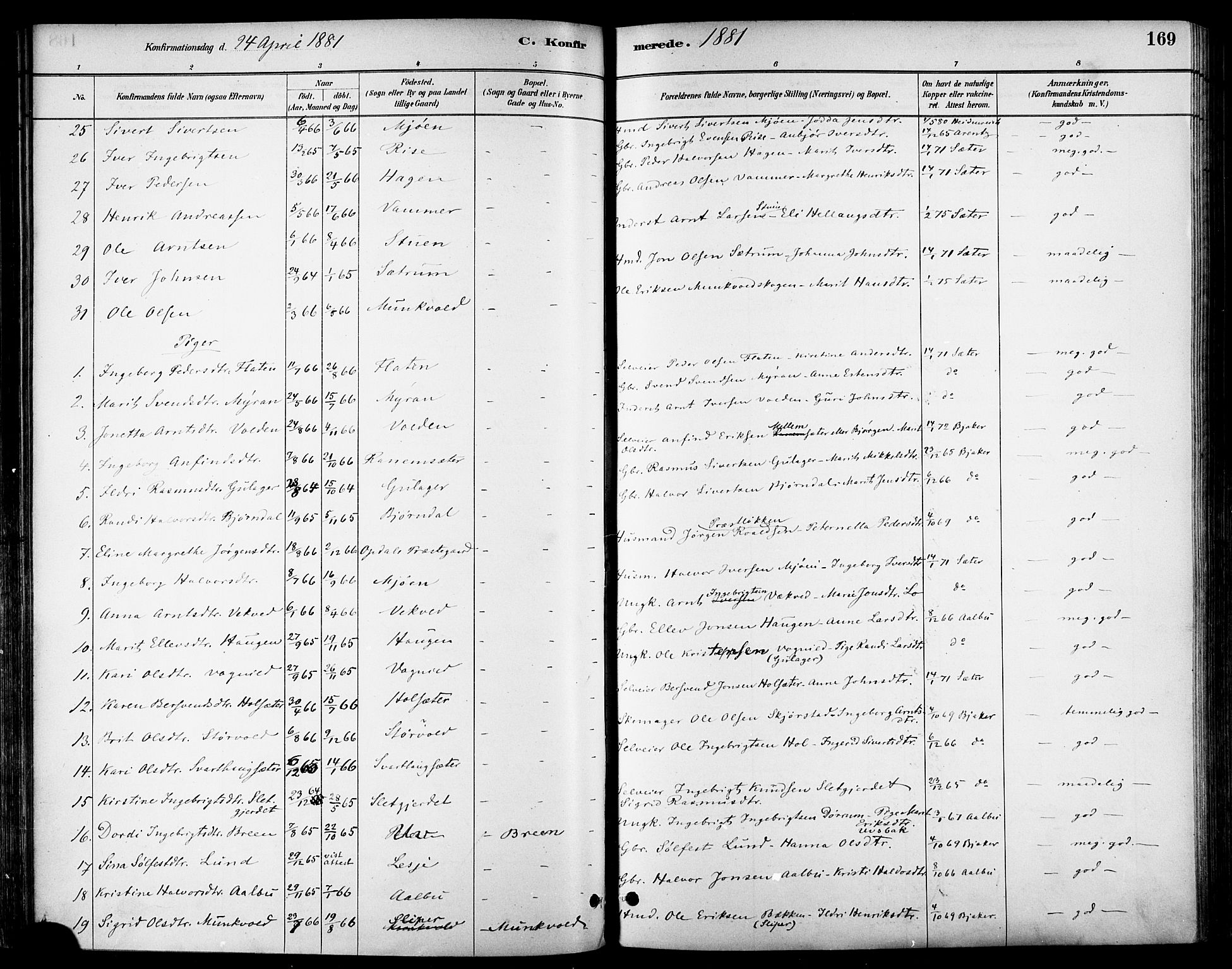 Ministerialprotokoller, klokkerbøker og fødselsregistre - Sør-Trøndelag, AV/SAT-A-1456/678/L0901: Parish register (official) no. 678A10, 1881-1894, p. 169