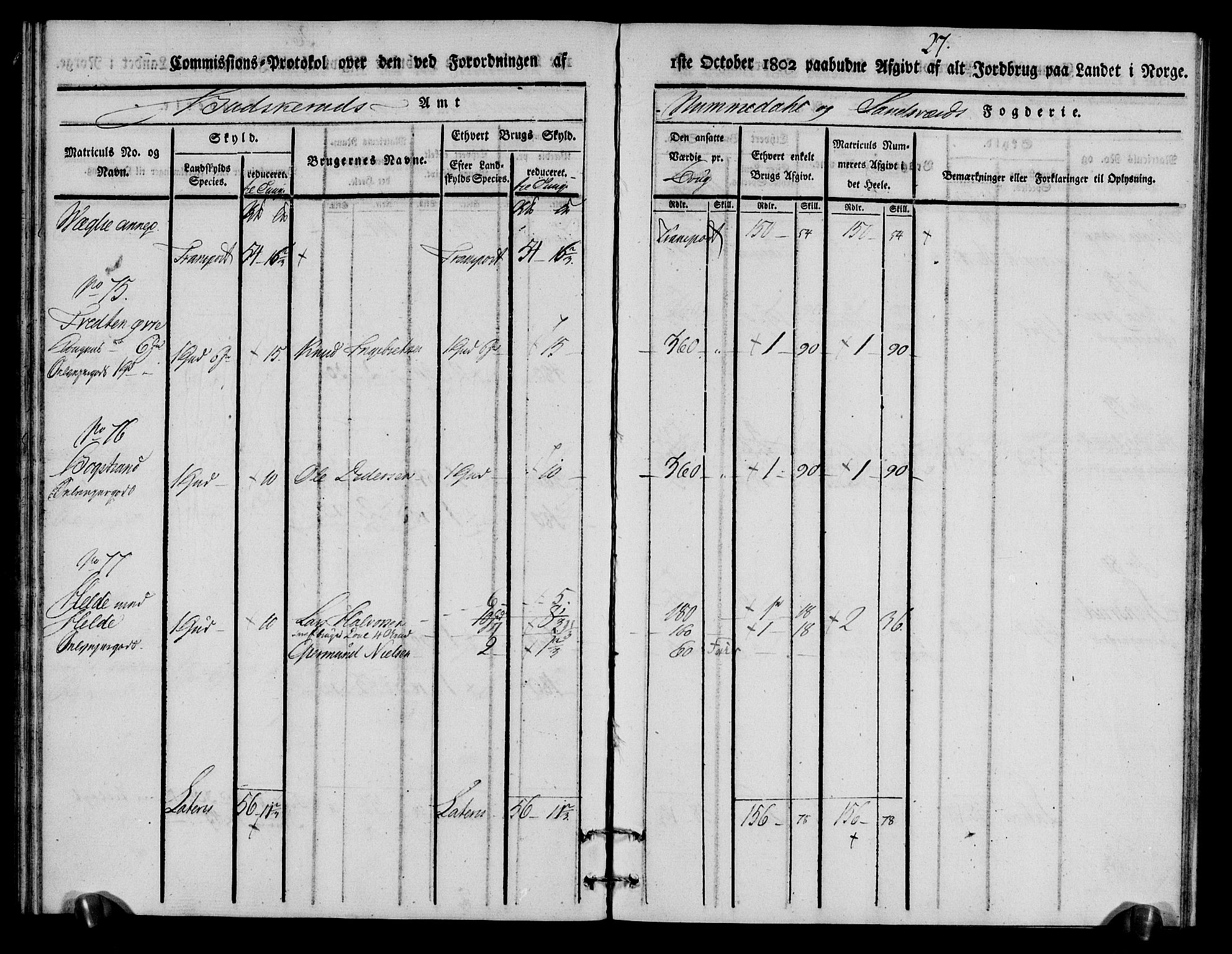 Rentekammeret inntil 1814, Realistisk ordnet avdeling, RA/EA-4070/N/Ne/Nea/L0056a: Numedal og Sandsvær fogderi. Kommisjonsprotokoll for Rollag hovedsogn og Veggli anneks, 1803, p. 28