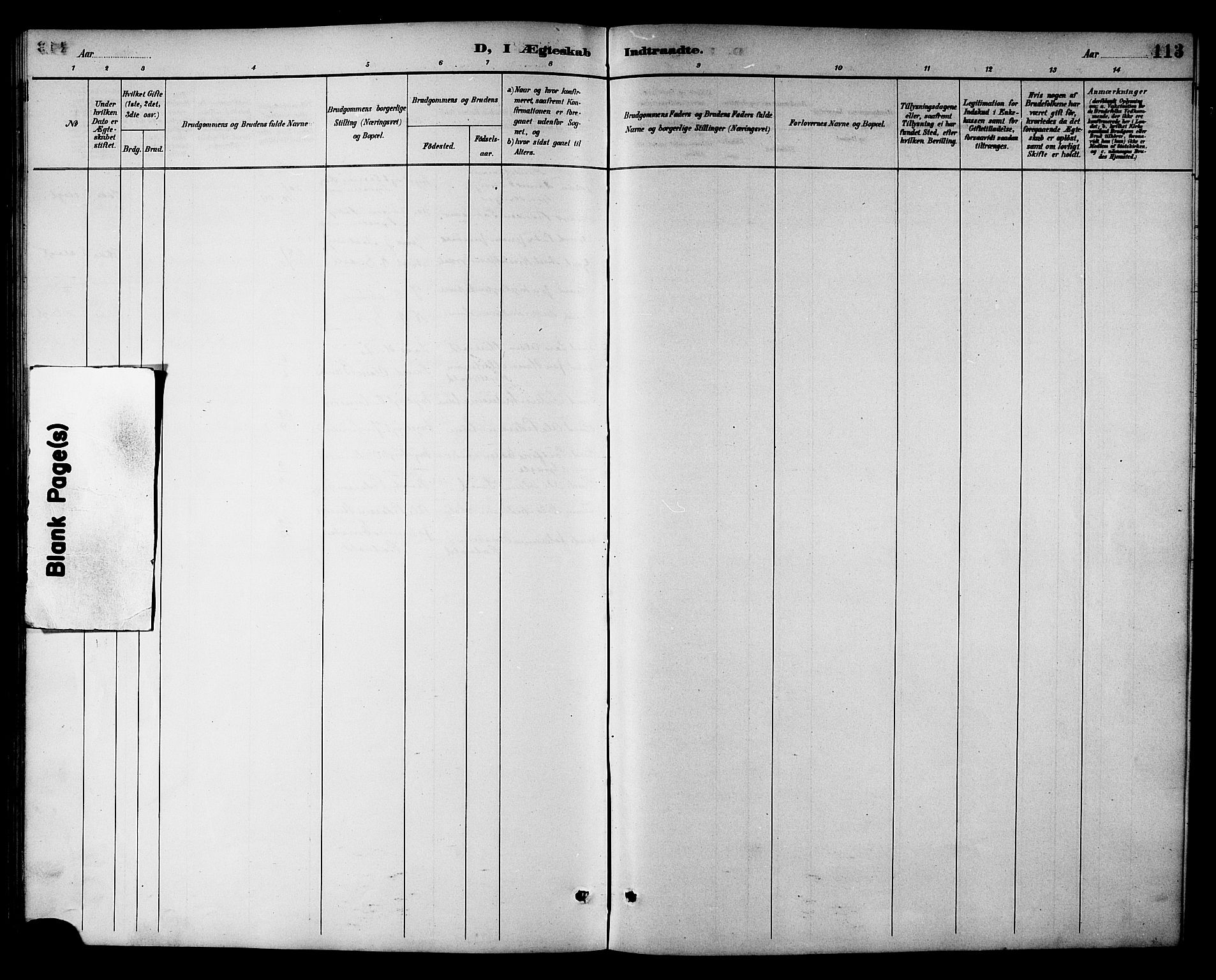 Ministerialprotokoller, klokkerbøker og fødselsregistre - Sør-Trøndelag, AV/SAT-A-1456/698/L1167: Parish register (copy) no. 698C04, 1888-1907, p. 113