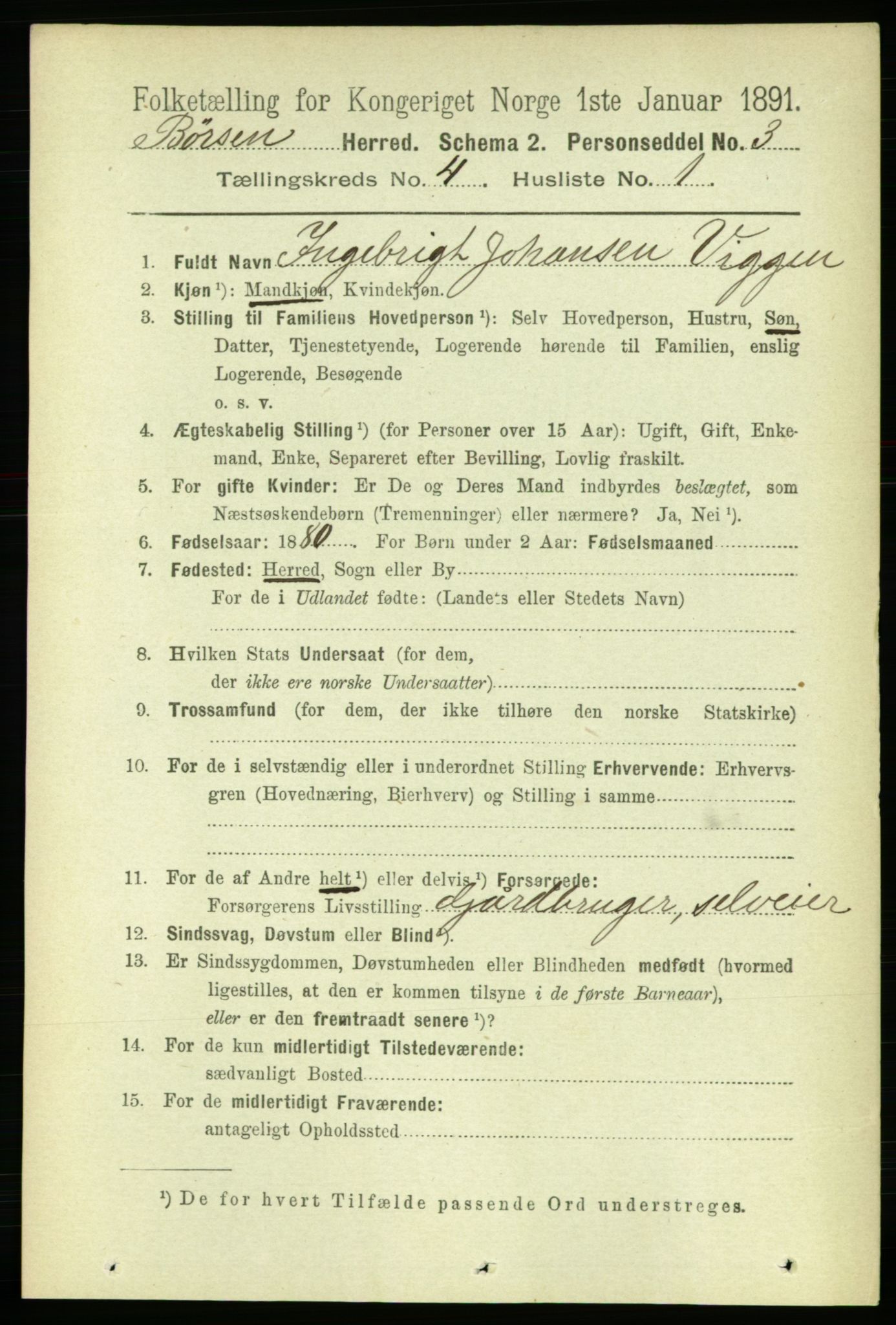 RA, 1891 census for 1658 Børsa, 1891, p. 1460