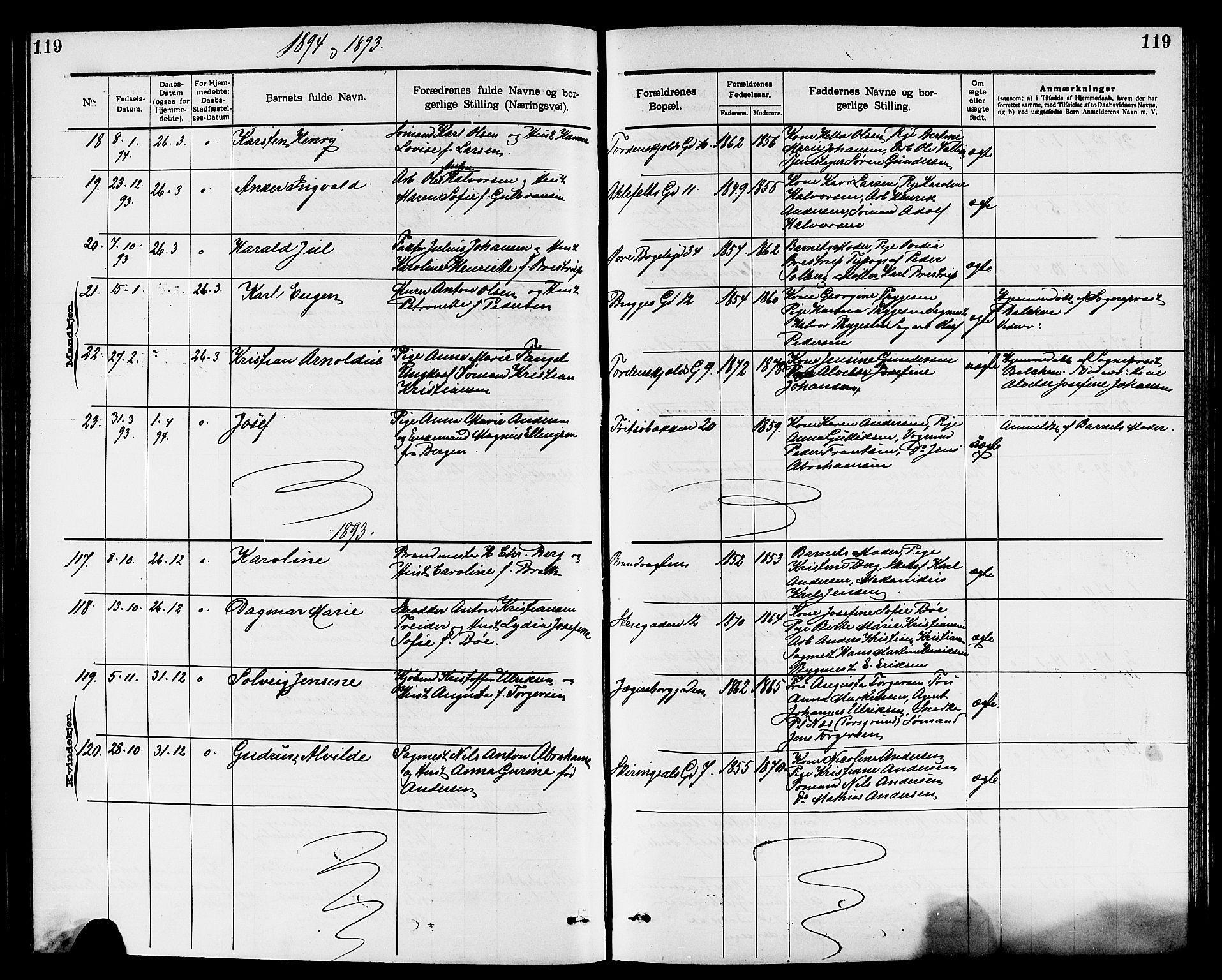 Larvik kirkebøker, AV/SAKO-A-352/G/Ga/L0005: Parish register (copy) no. I 5, 1888-1909, p. 119