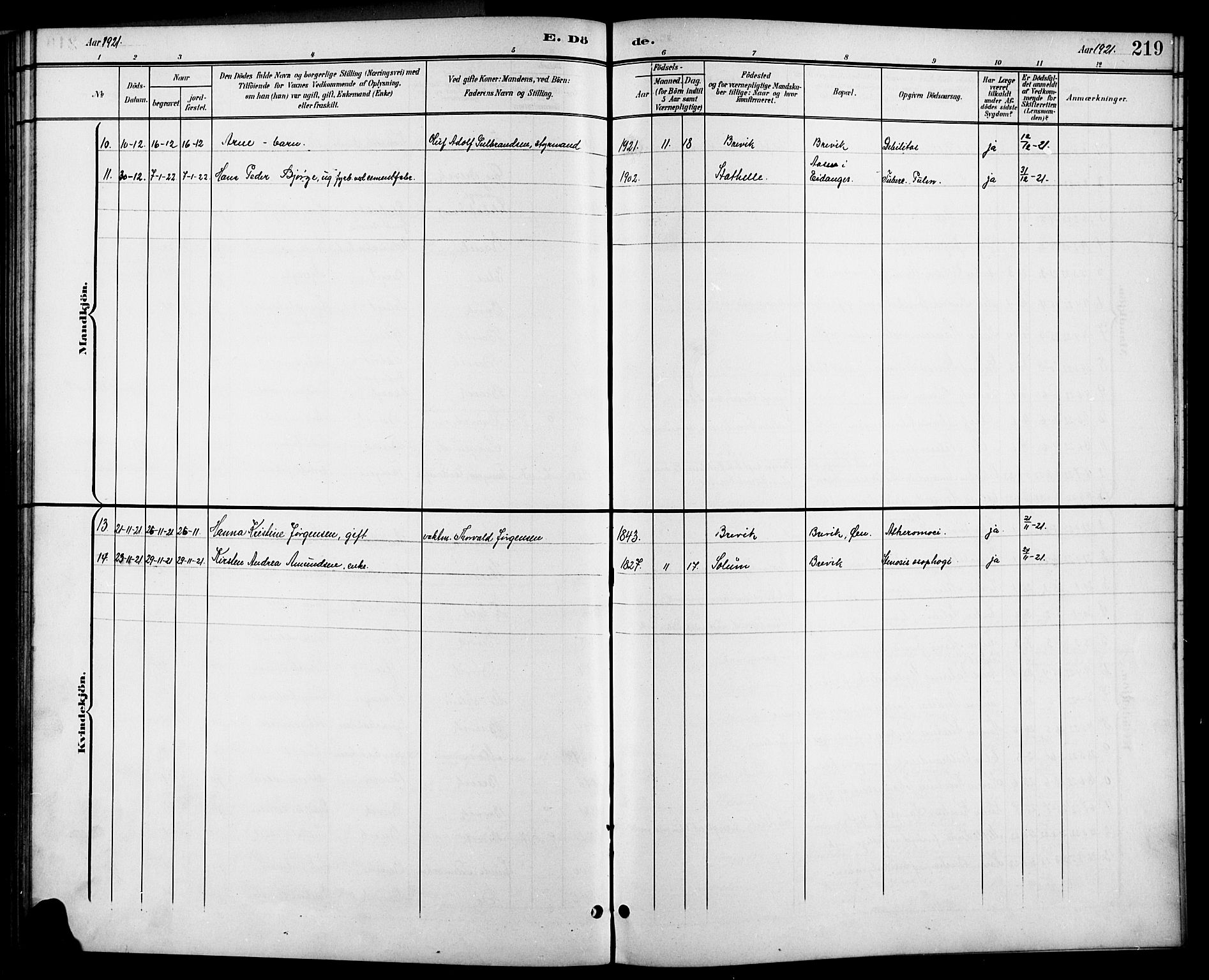 Brevik kirkebøker, SAKO/A-255/G/Ga/L0005: Parish register (copy) no. 5, 1901-1924, p. 219