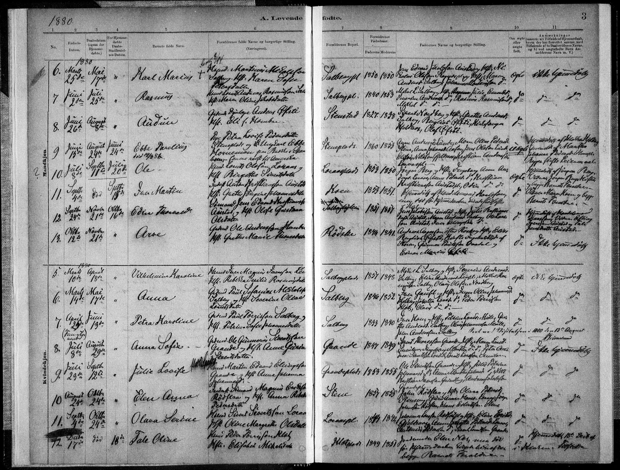Ministerialprotokoller, klokkerbøker og fødselsregistre - Nord-Trøndelag, SAT/A-1458/731/L0309: Parish register (official) no. 731A01, 1879-1918, p. 3