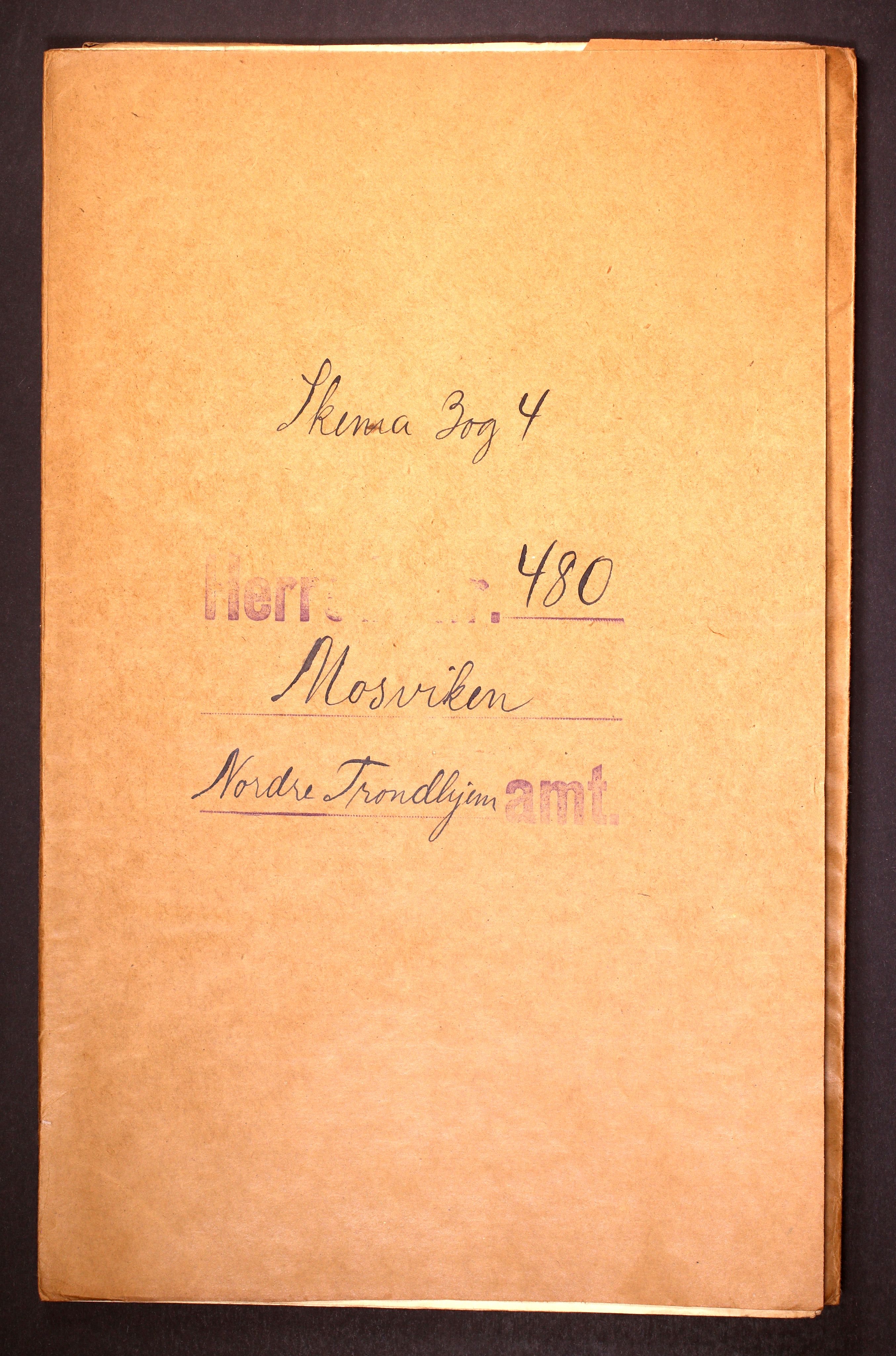 RA, 1910 census for Mosvik, 1910, p. 1