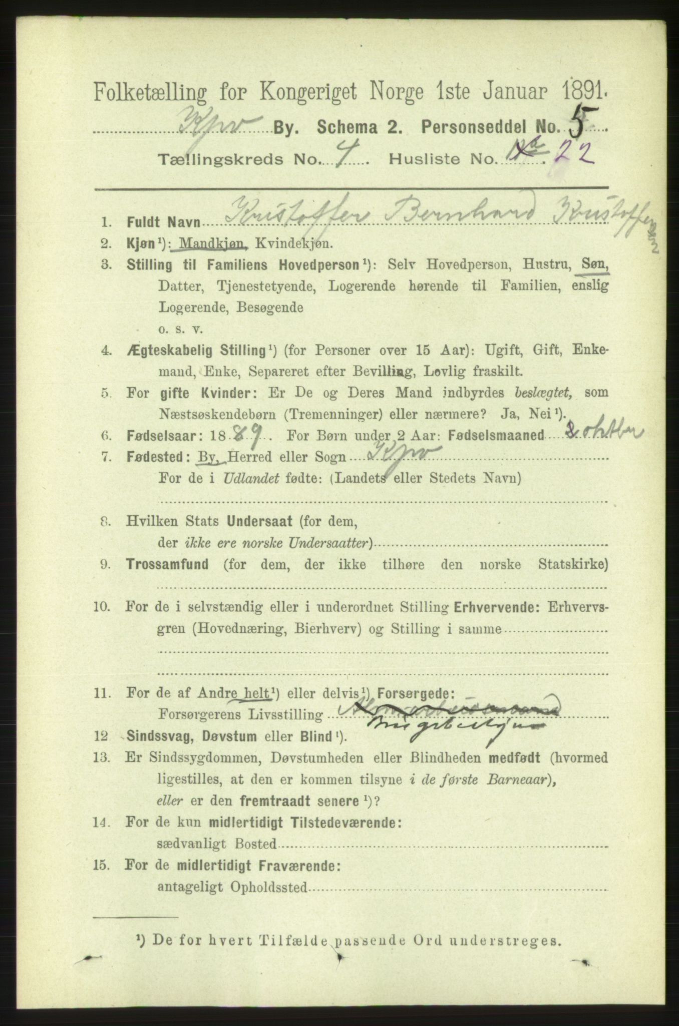 RA, 1891 census for 1105 Kopervik, 1891, p. 494