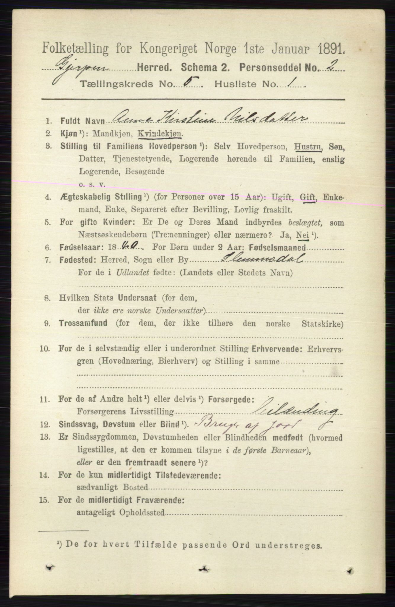 RA, 1891 census for 0812 Gjerpen, 1891, p. 2494