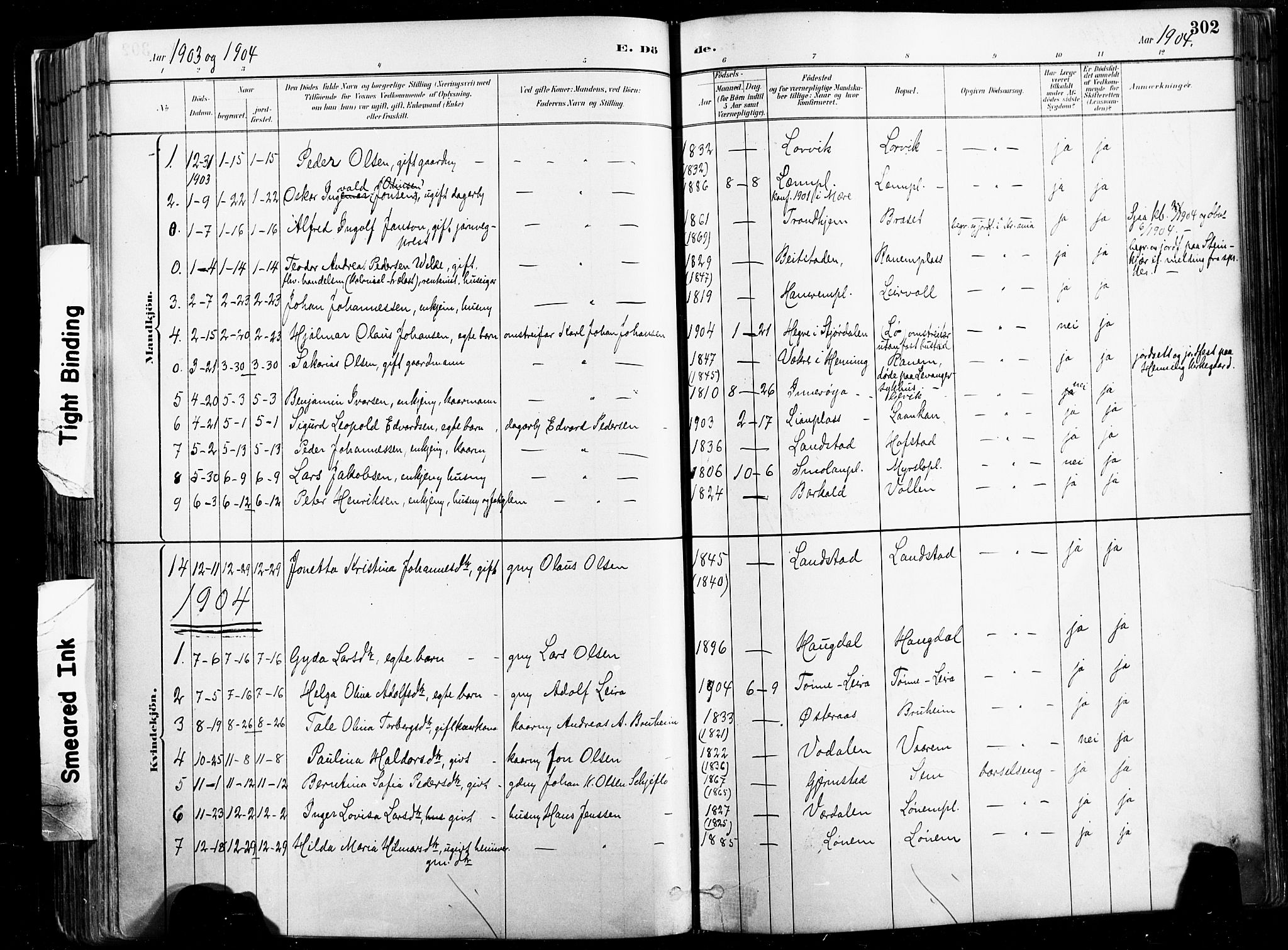 Ministerialprotokoller, klokkerbøker og fødselsregistre - Nord-Trøndelag, SAT/A-1458/735/L0351: Parish register (official) no. 735A10, 1884-1908, p. 302