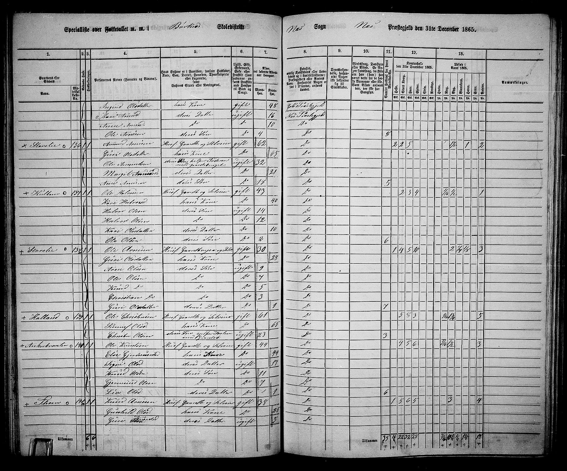 RA, 1865 census for Nes, 1865, p. 113