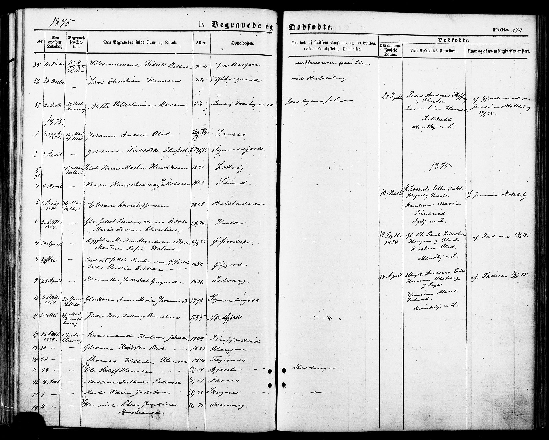 Lenvik sokneprestembete, SATØ/S-1310/H/Ha/Haa/L0010kirke: Parish register (official) no. 10, 1873-1880, p. 174