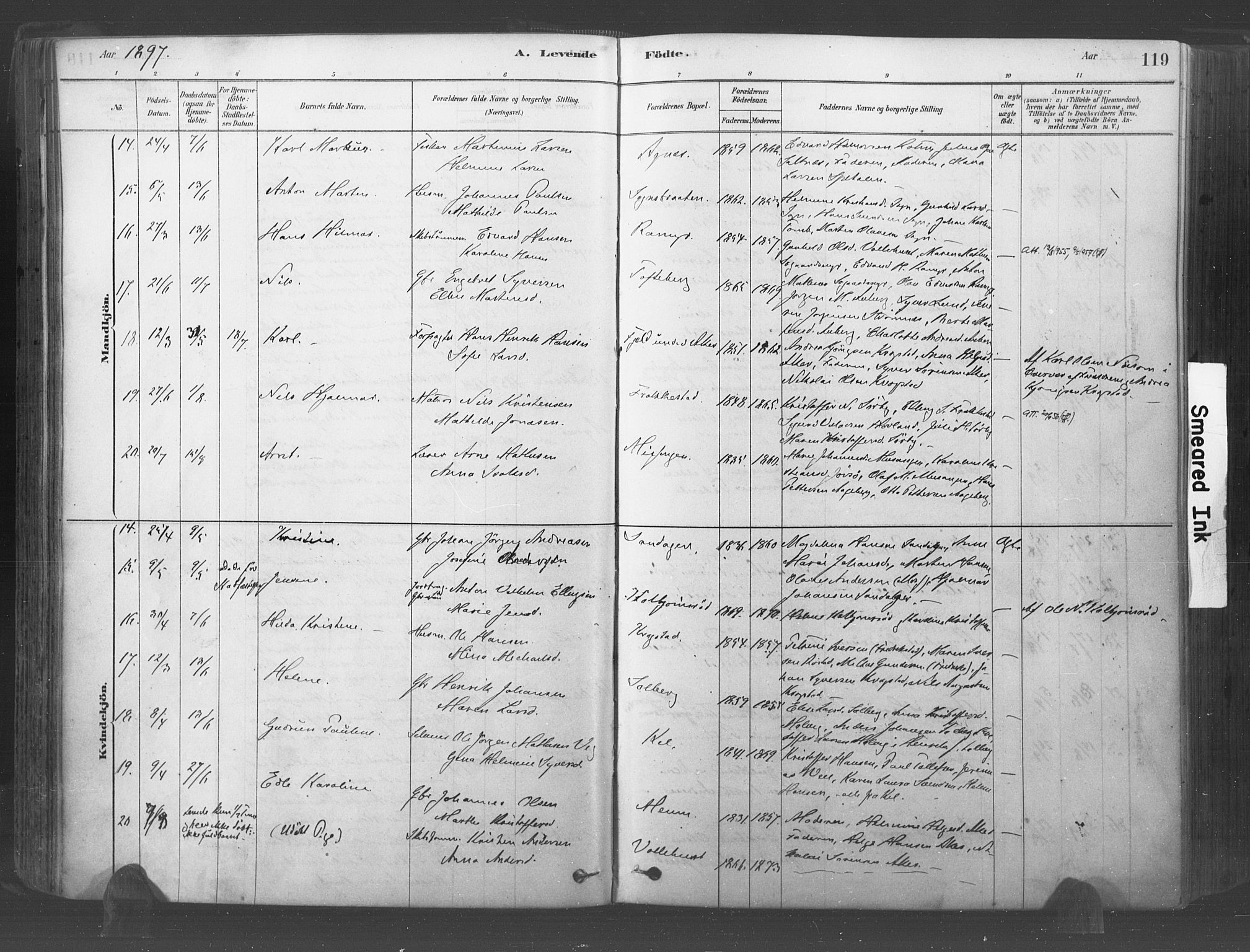 Råde prestekontor kirkebøker, AV/SAO-A-2009/F/Fa/L0007: Parish register (official) no. 7, 1878-1902, p. 119