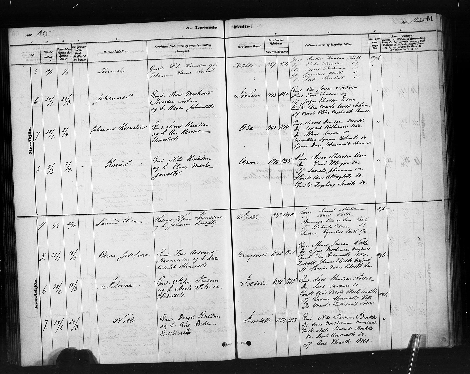 Ministerialprotokoller, klokkerbøker og fødselsregistre - Møre og Romsdal, AV/SAT-A-1454/513/L0176: Parish register (official) no. 513A03, 1877-1889, p. 61