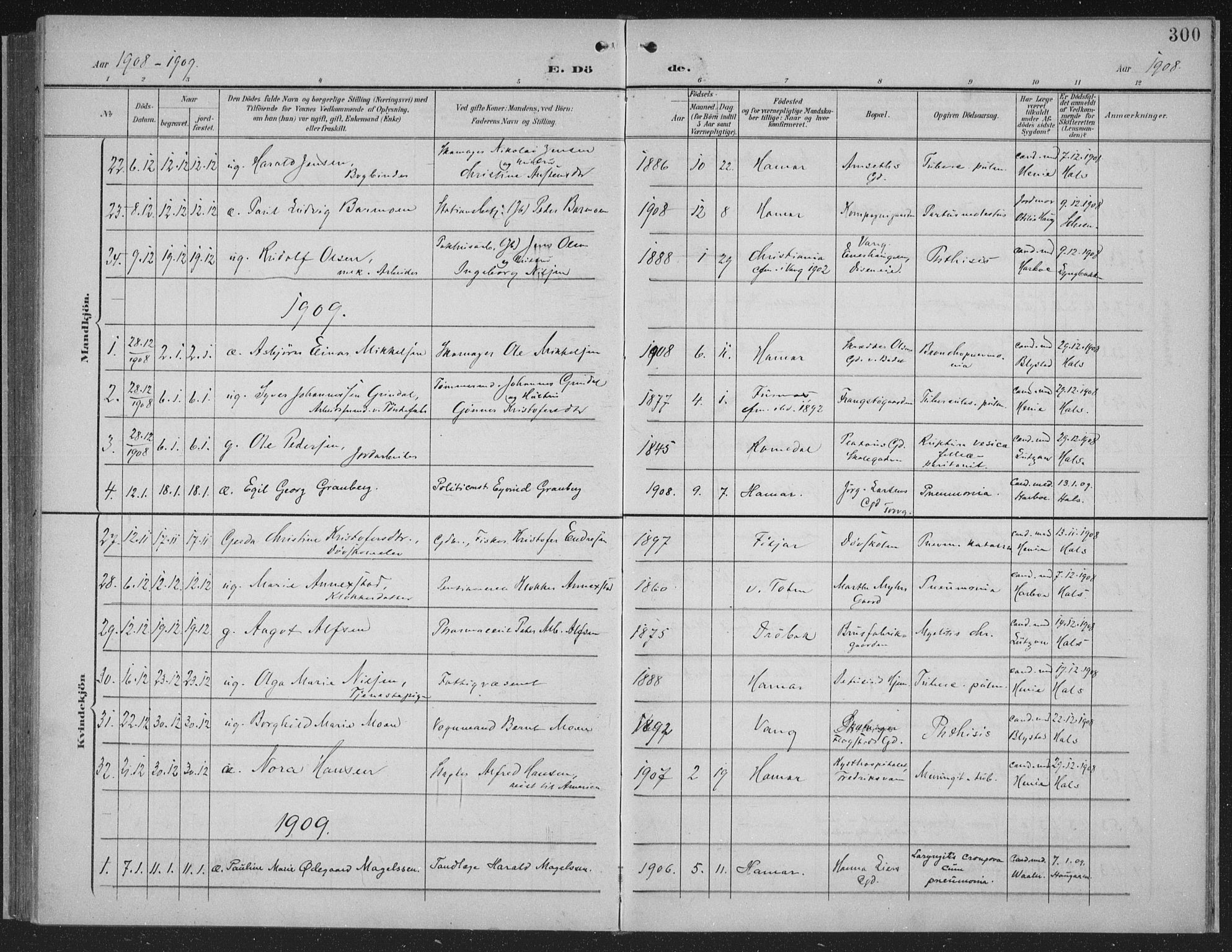 Hamar prestekontor, AV/SAH-DOMPH-002/H/Ha/Haa/L0001: Parish register (official) no. 1, 1900-1914, p. 300