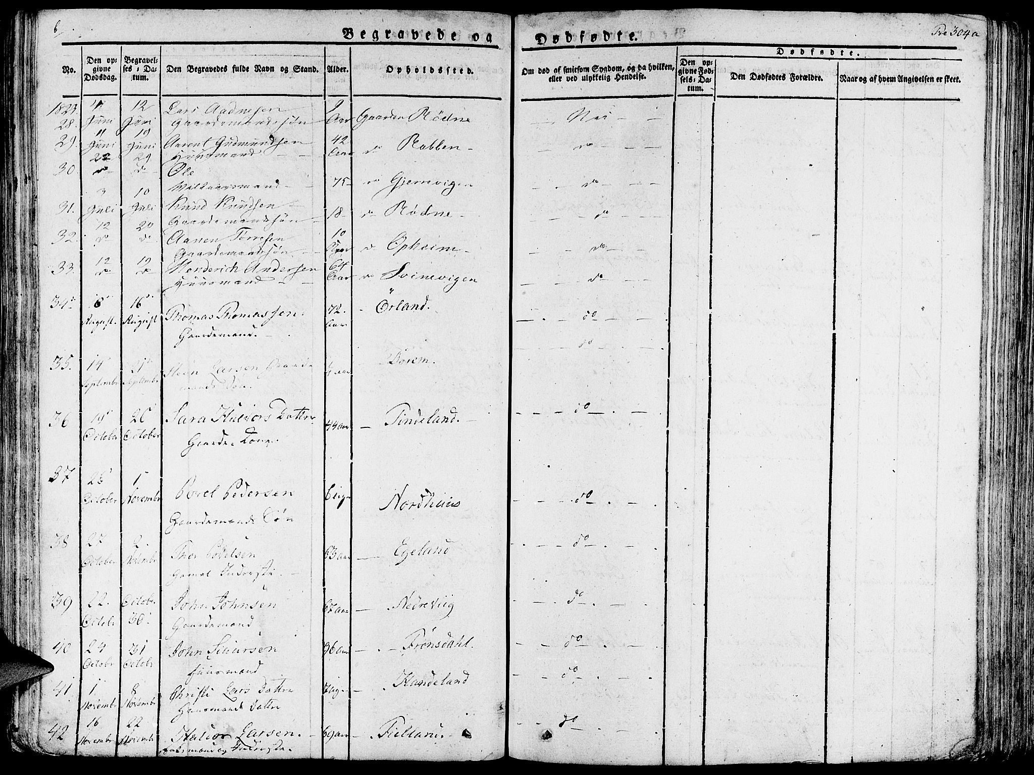 Fjelberg sokneprestembete, SAB/A-75201/H/Haa: Parish register (official) no. A 5, 1822-1834, p. 304