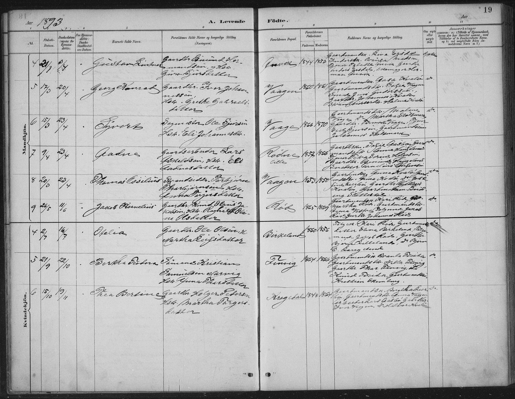 Vikedal sokneprestkontor, AV/SAST-A-101840/01/IV: Parish register (official) no. A 12, 1886-1929, p. 19