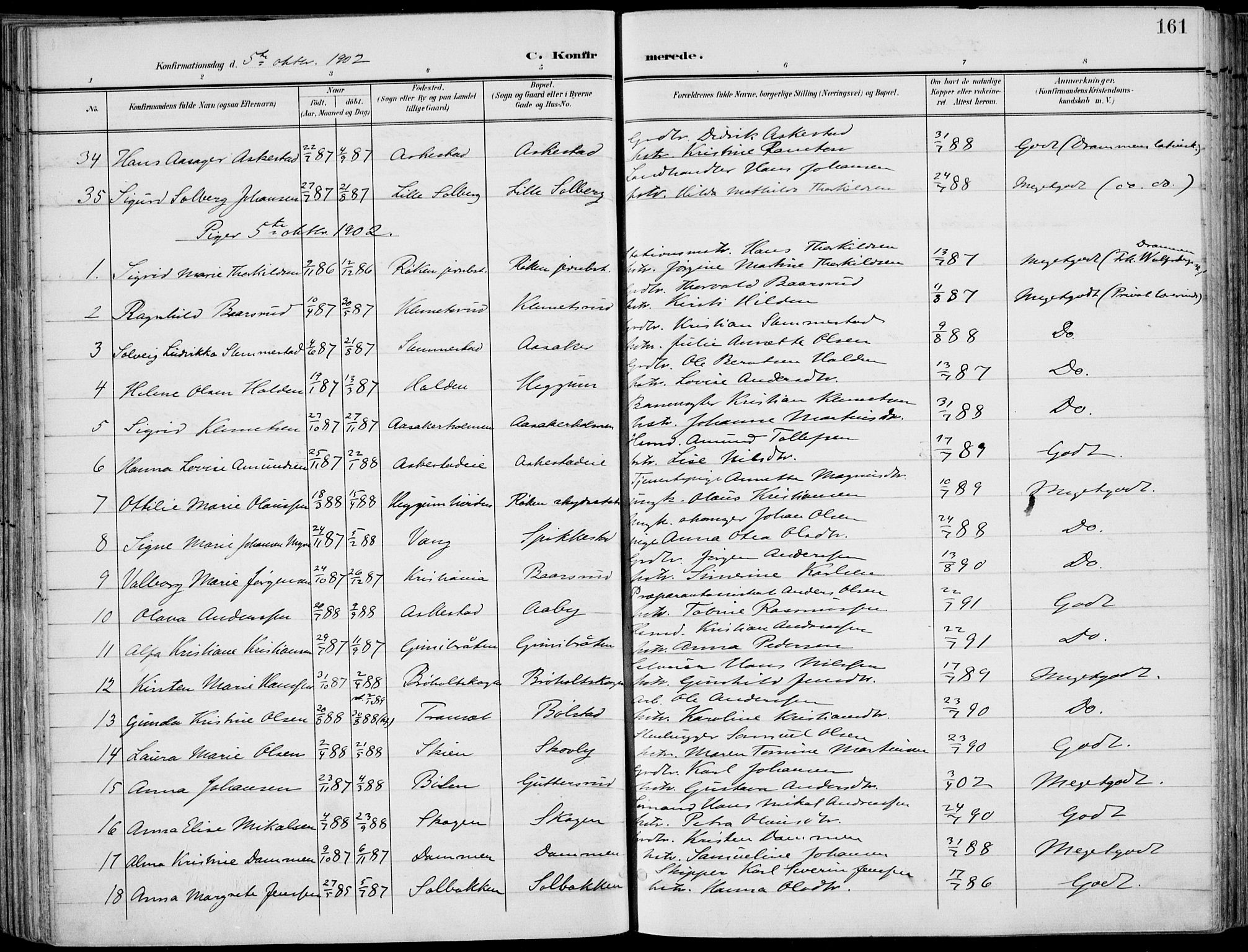 Røyken kirkebøker, AV/SAKO-A-241/F/Fa/L0009: Parish register (official) no. 9, 1898-1911, p. 161