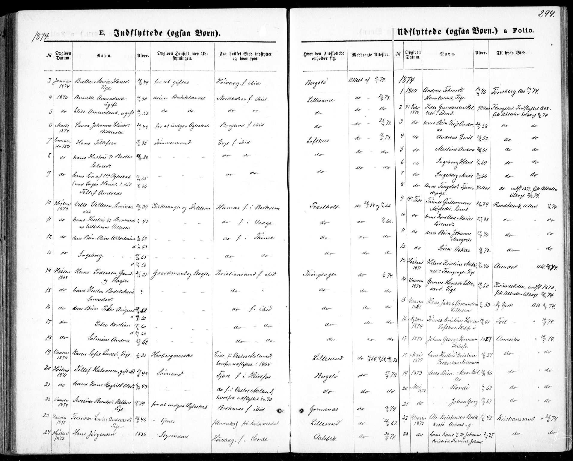 Vestre Moland sokneprestkontor, AV/SAK-1111-0046/F/Fb/Fbb/L0005: Parish register (copy) no. B 5, 1872-1883, p. 294