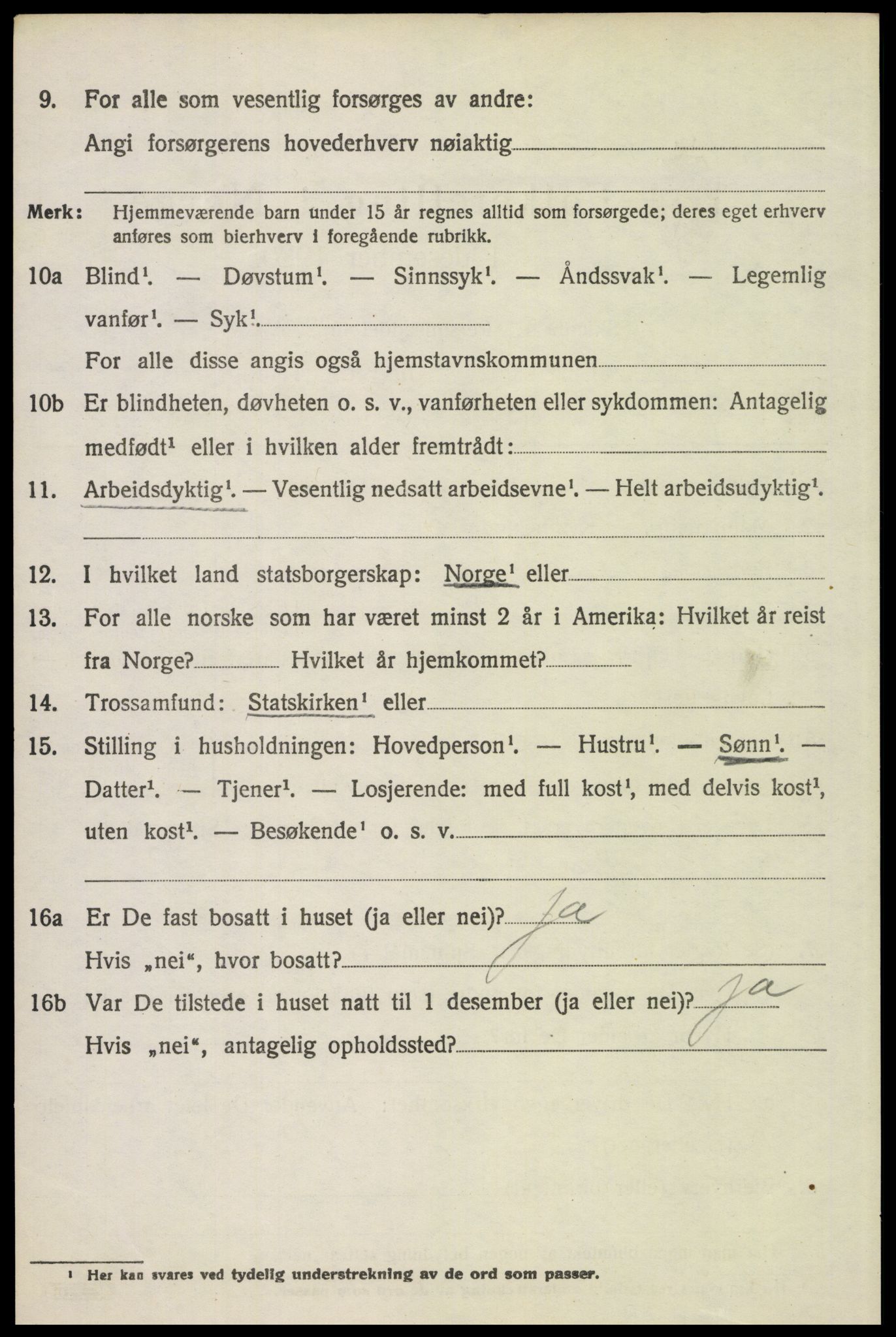 SAH, 1920 census for Tynset, 1920, p. 10157