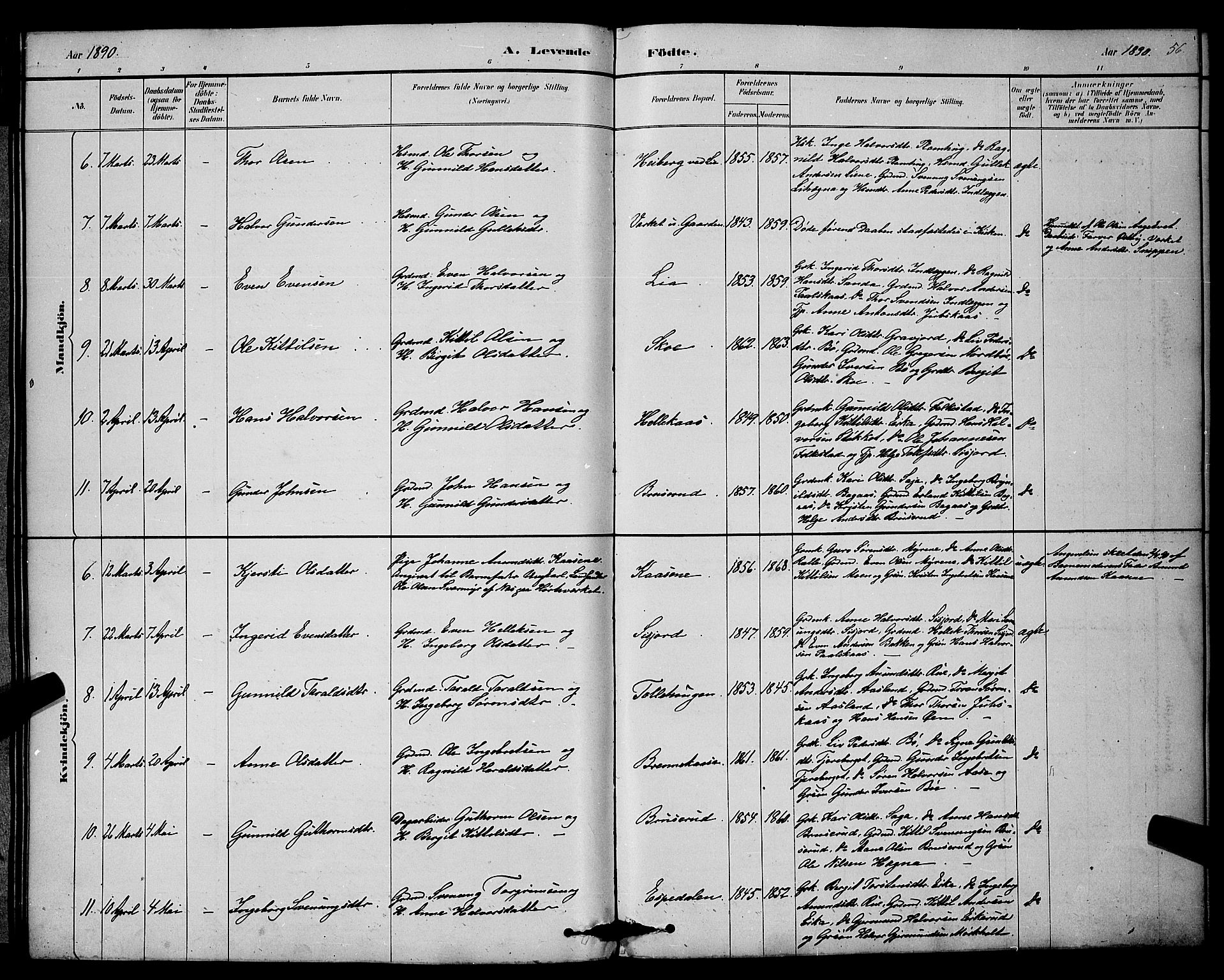 Bø kirkebøker, SAKO/A-257/G/Ga/L0005: Parish register (copy) no. 5, 1883-1897, p. 56
