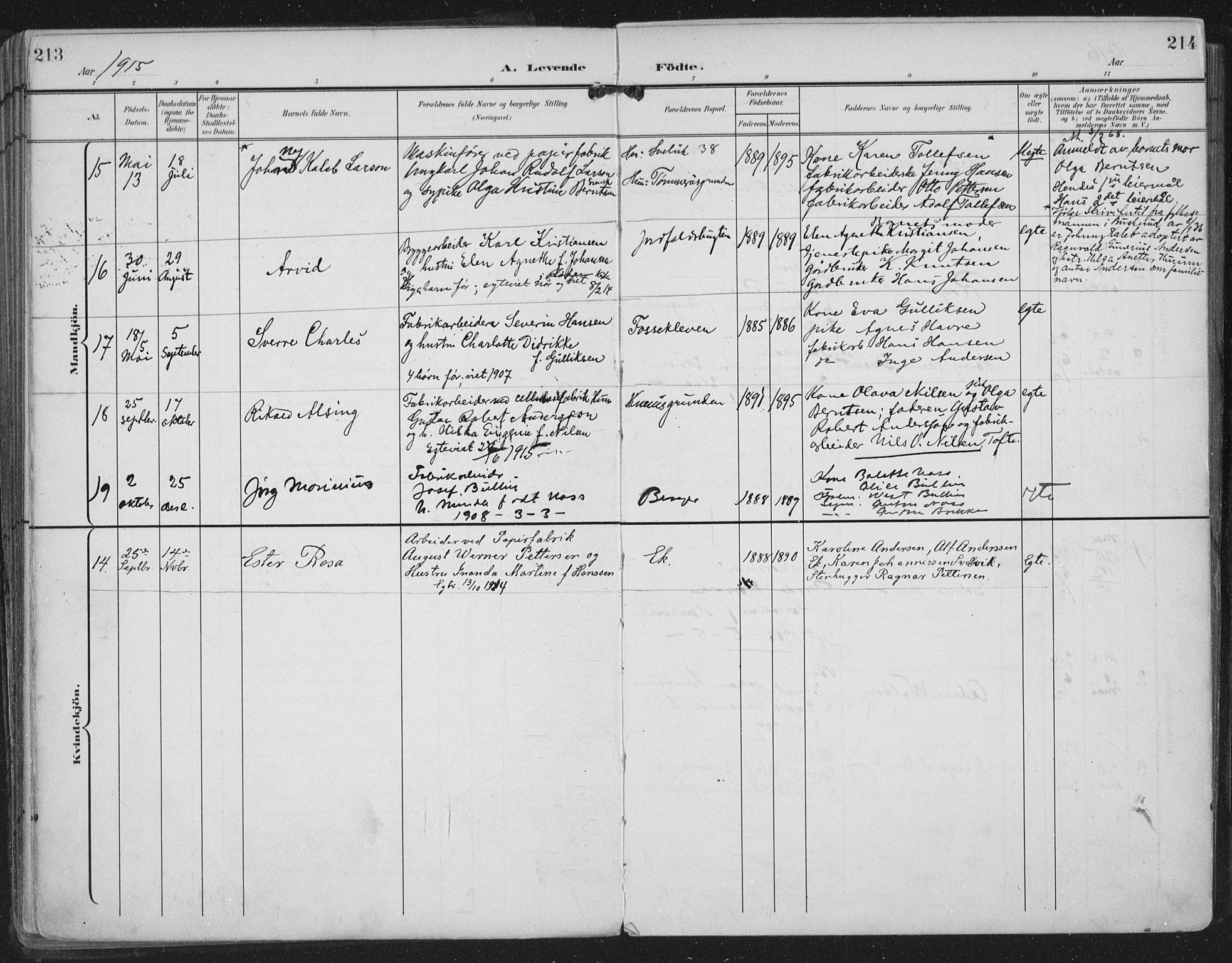 Strømm kirkebøker, AV/SAKO-A-322/F/Fa/L0005: Parish register (official) no. I 5, 1898-1919, p. 213-214