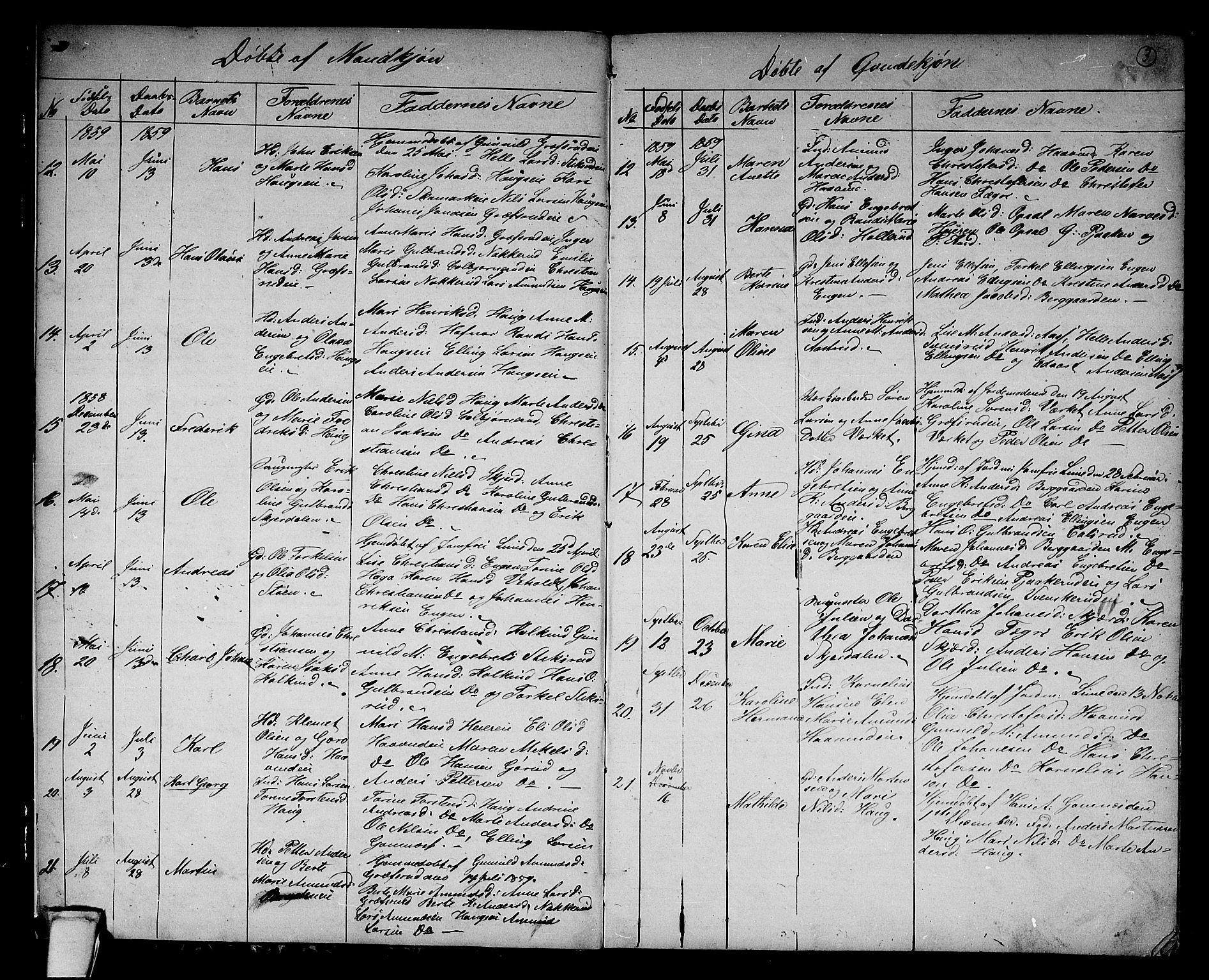 Hole kirkebøker, SAKO/A-228/G/Gb/L0001: Parish register (copy) no. II 1, 1859-1878, p. 3