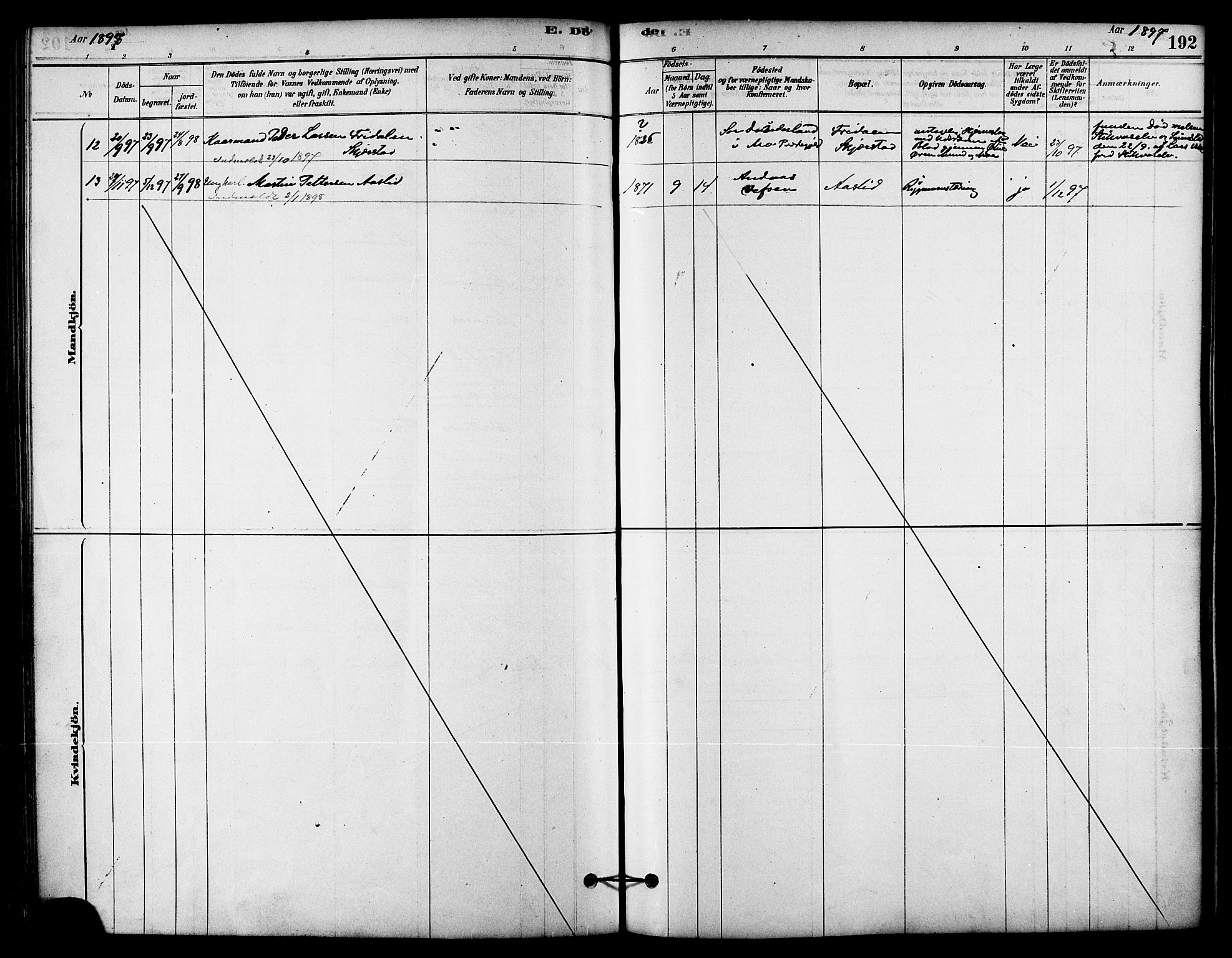 Ministerialprotokoller, klokkerbøker og fødselsregistre - Nordland, AV/SAT-A-1459/823/L0325: Parish register (official) no. 823A02, 1878-1898, p. 192