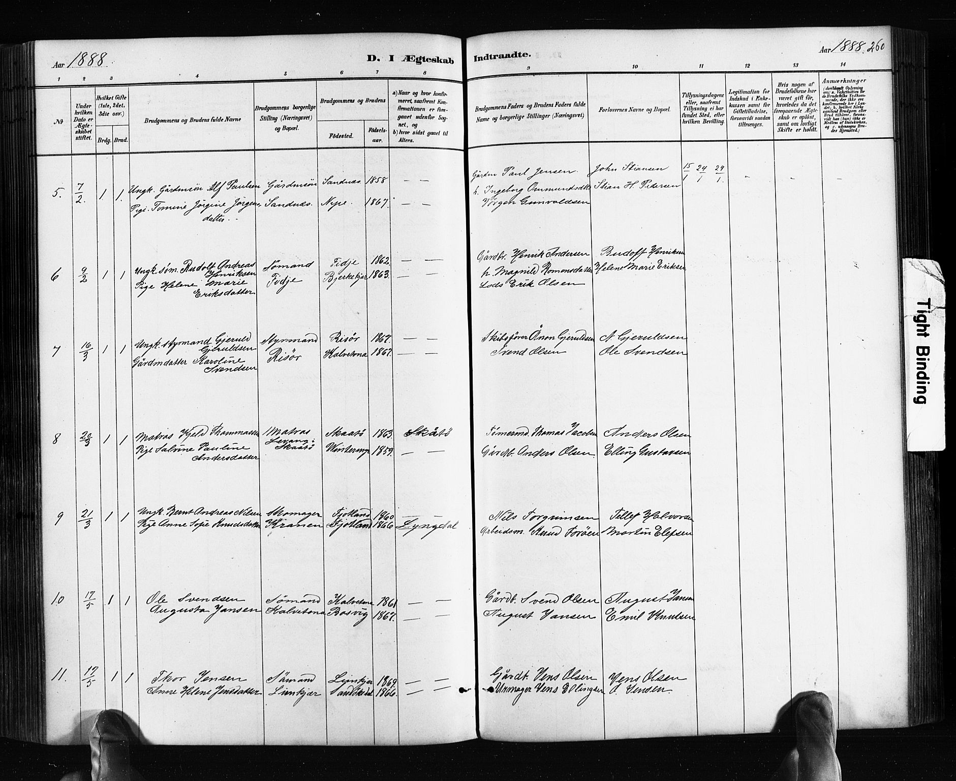 Søndeled sokneprestkontor, AV/SAK-1111-0038/F/Fa/L0004: Parish register (official) no. A 4, 1880-1889, p. 260