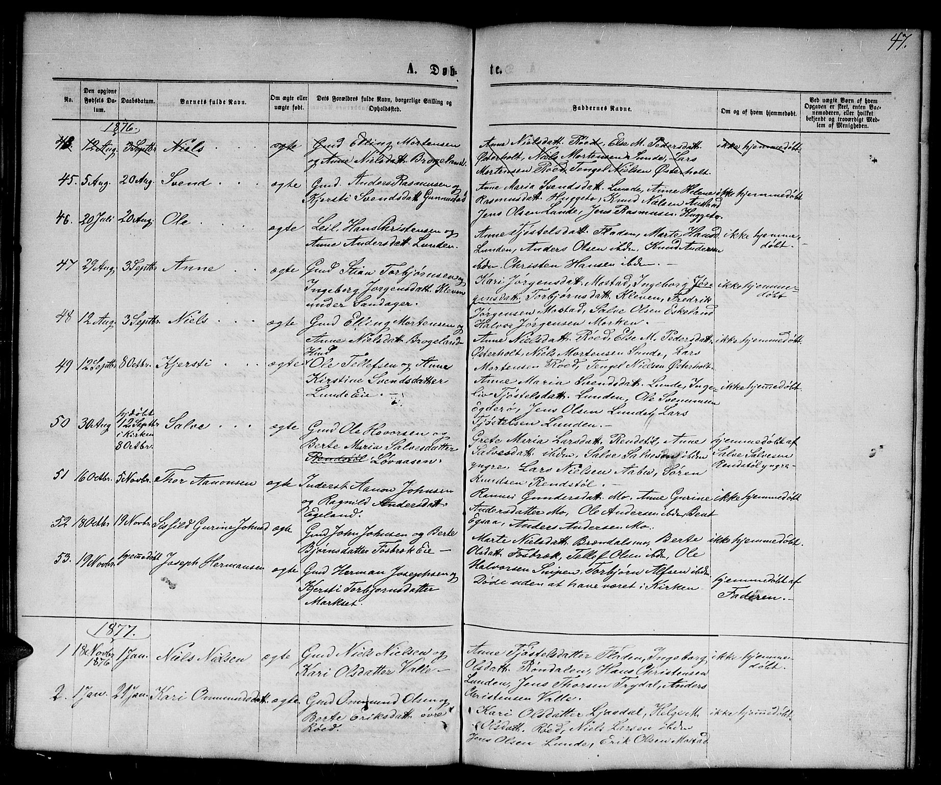 Gjerstad sokneprestkontor, AV/SAK-1111-0014/F/Fb/Fba/L0006: Parish register (copy) no. B 6, 1868-1890, p. 47