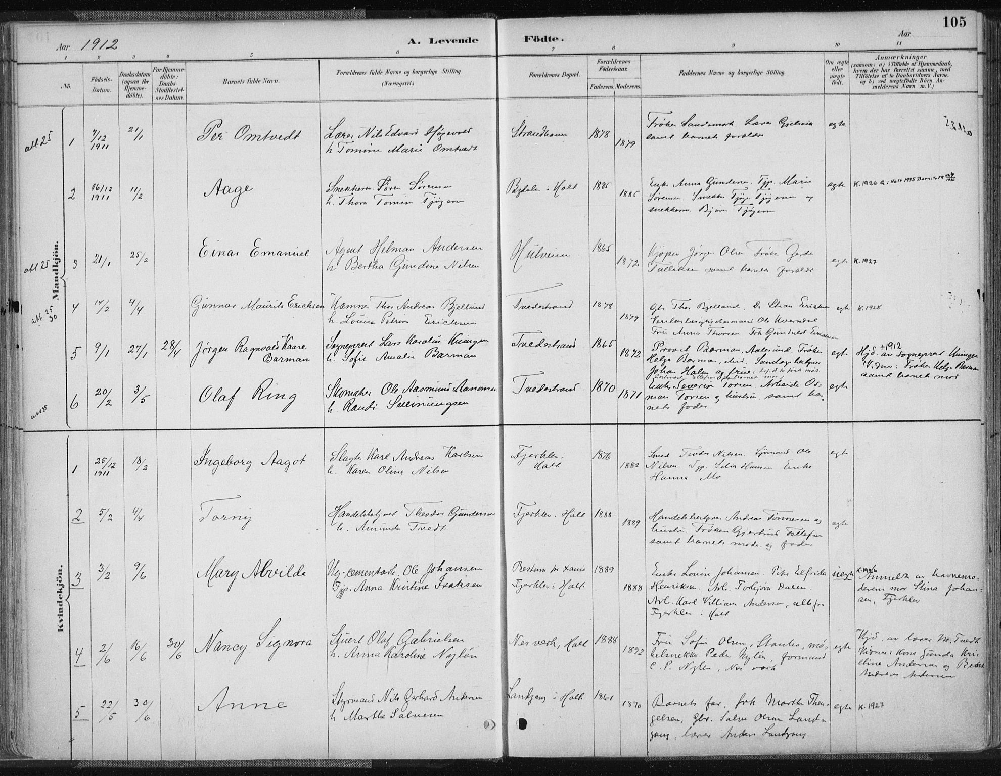 Tvedestrand sokneprestkontor, AV/SAK-1111-0042/F/Fa/L0001: Parish register (official) no. A 1, 1885-1916, p. 105