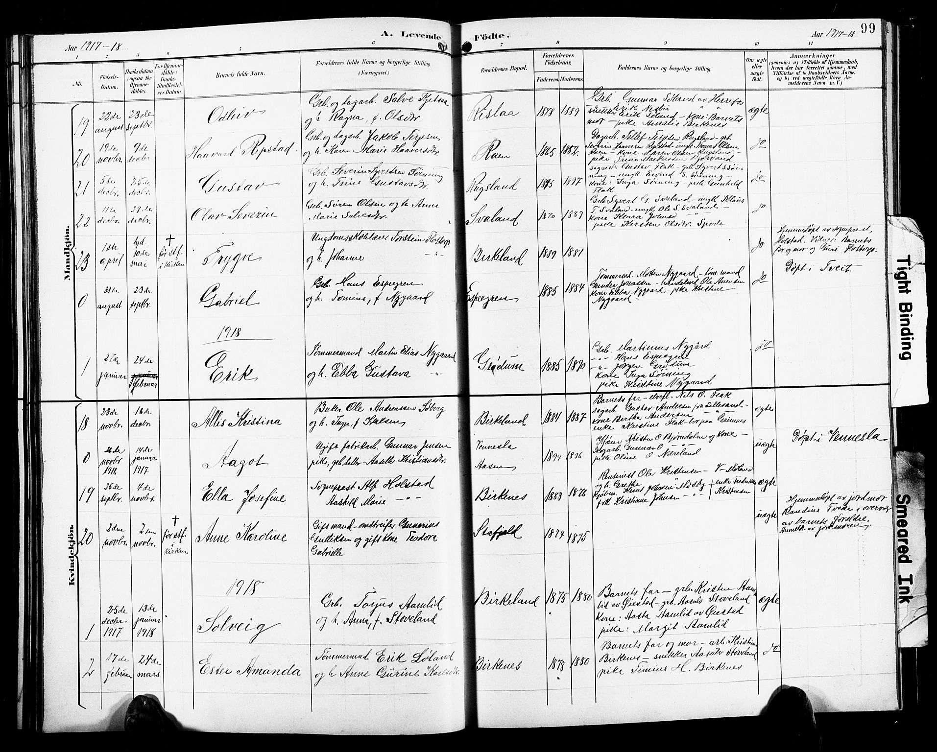 Birkenes sokneprestkontor, SAK/1111-0004/F/Fb/L0004: Parish register (copy) no. B 4, 1893-1930, p. 99