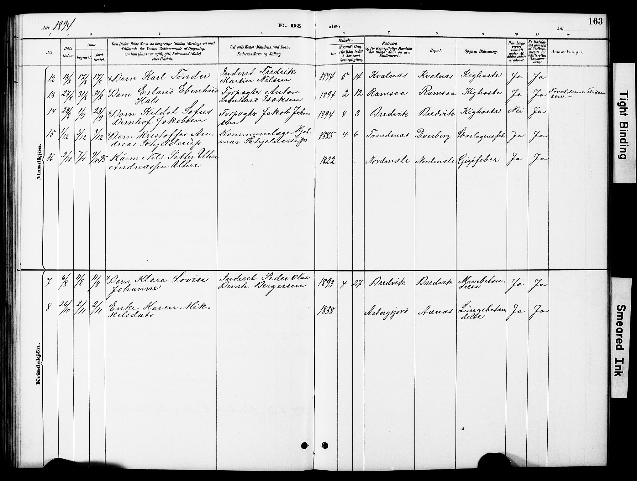 Ministerialprotokoller, klokkerbøker og fødselsregistre - Nordland, SAT/A-1459/897/L1413: Parish register (copy) no. 897C03, 1887-1903, p. 163