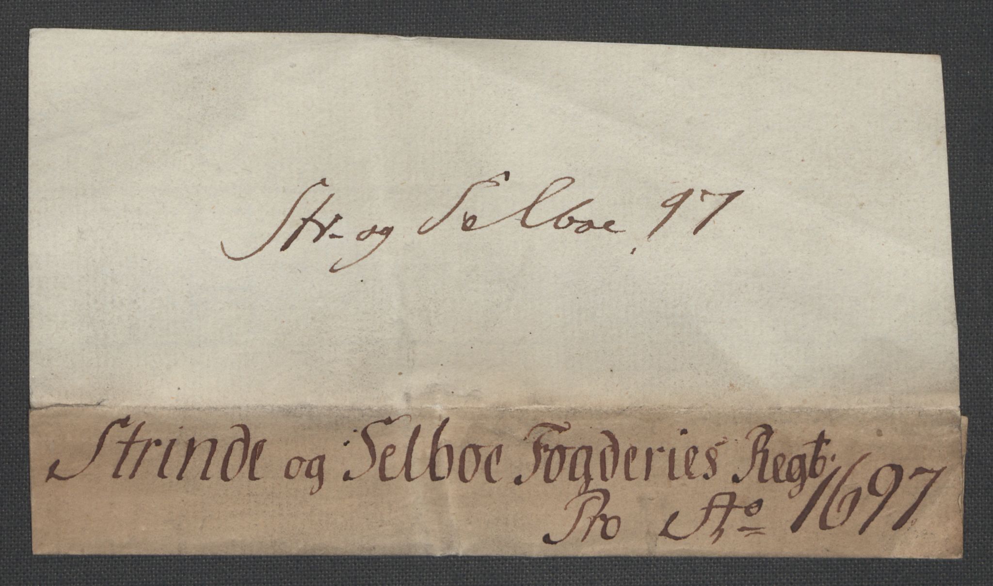 Rentekammeret inntil 1814, Reviderte regnskaper, Fogderegnskap, AV/RA-EA-4092/R61/L4106: Fogderegnskap Strinda og Selbu, 1696-1697, p. 175