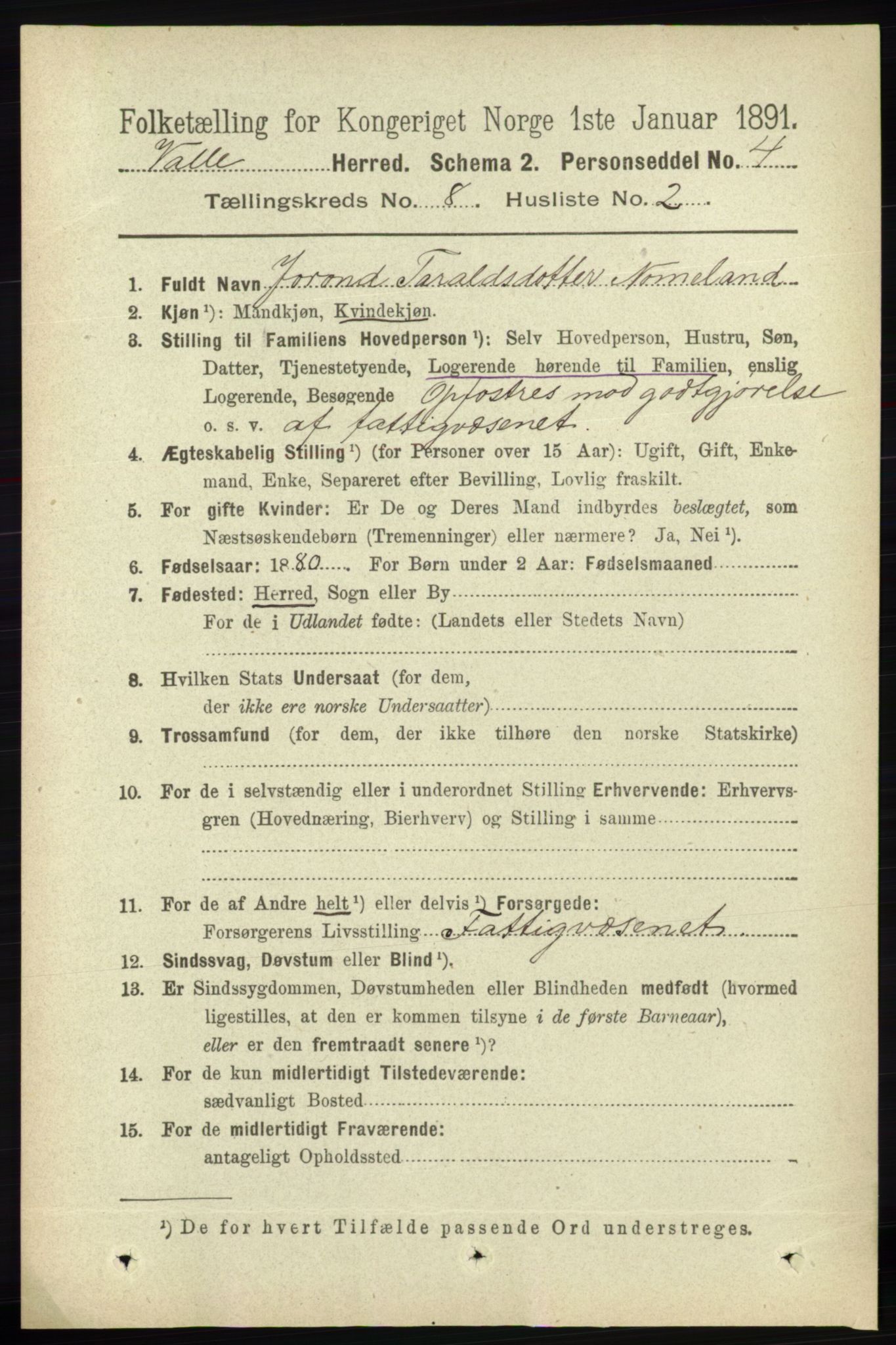 RA, 1891 census for 0940 Valle, 1891, p. 2245