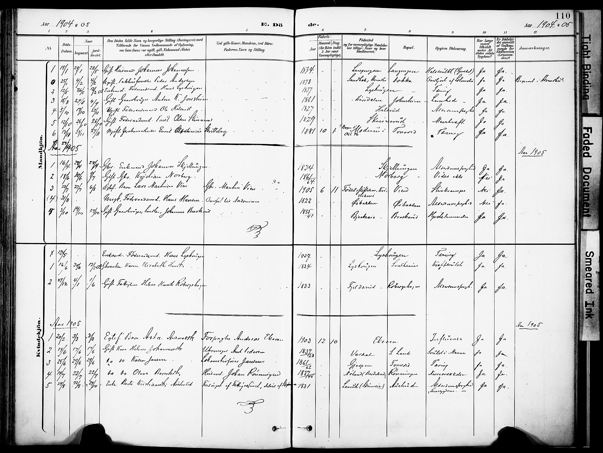 Nordre Land prestekontor, SAH/PREST-124/H/Ha/Haa/L0006: Parish register (official) no. 6, 1897-1914, p. 110