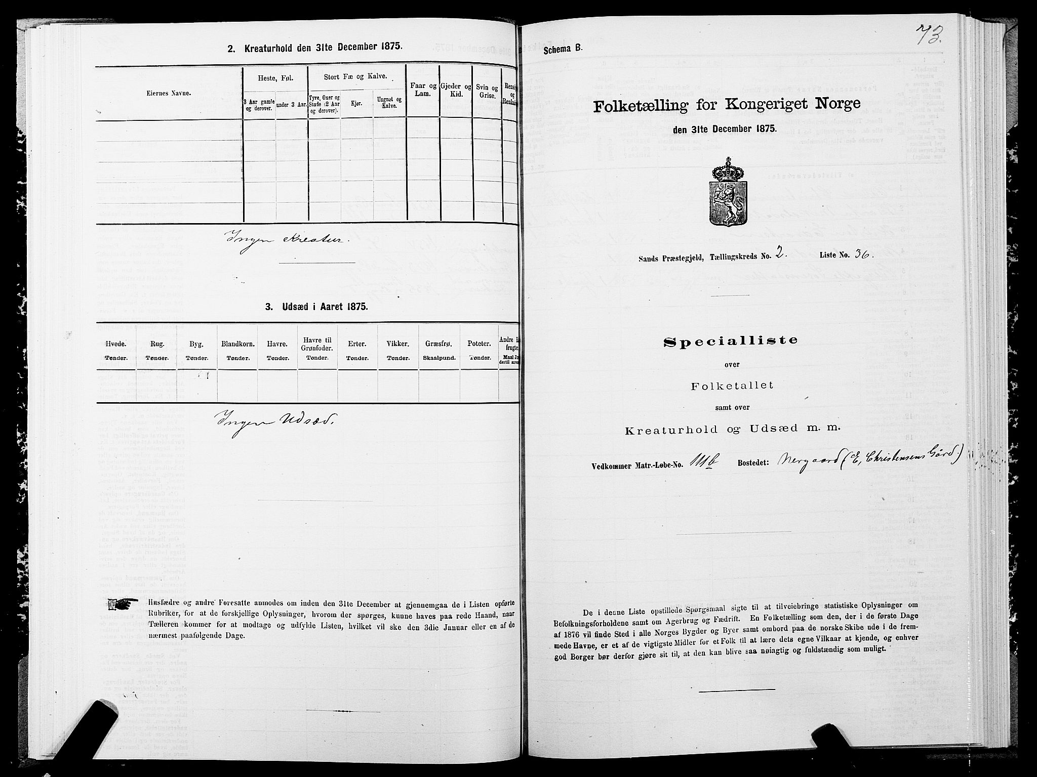 SATØ, 1875 census for 1915P Sand, 1875, p. 2073