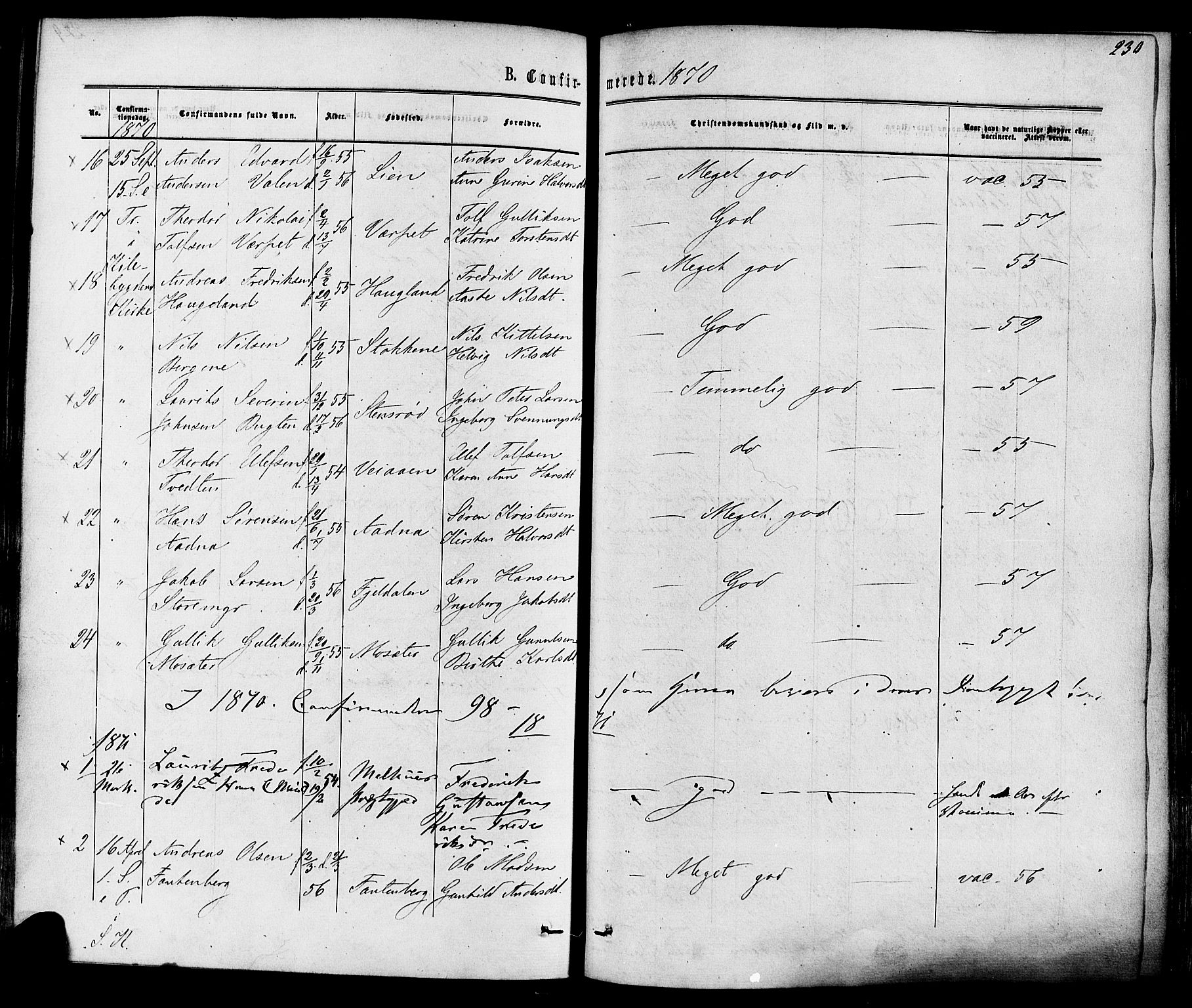 Solum kirkebøker, SAKO/A-306/F/Fa/L0008: Parish register (official) no. I 8, 1865-1876, p. 230