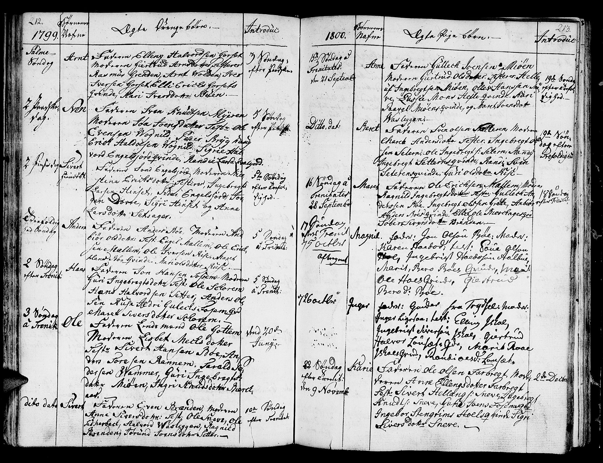 Ministerialprotokoller, klokkerbøker og fødselsregistre - Sør-Trøndelag, SAT/A-1456/678/L0893: Parish register (official) no. 678A03, 1792-1805, p. 212-213