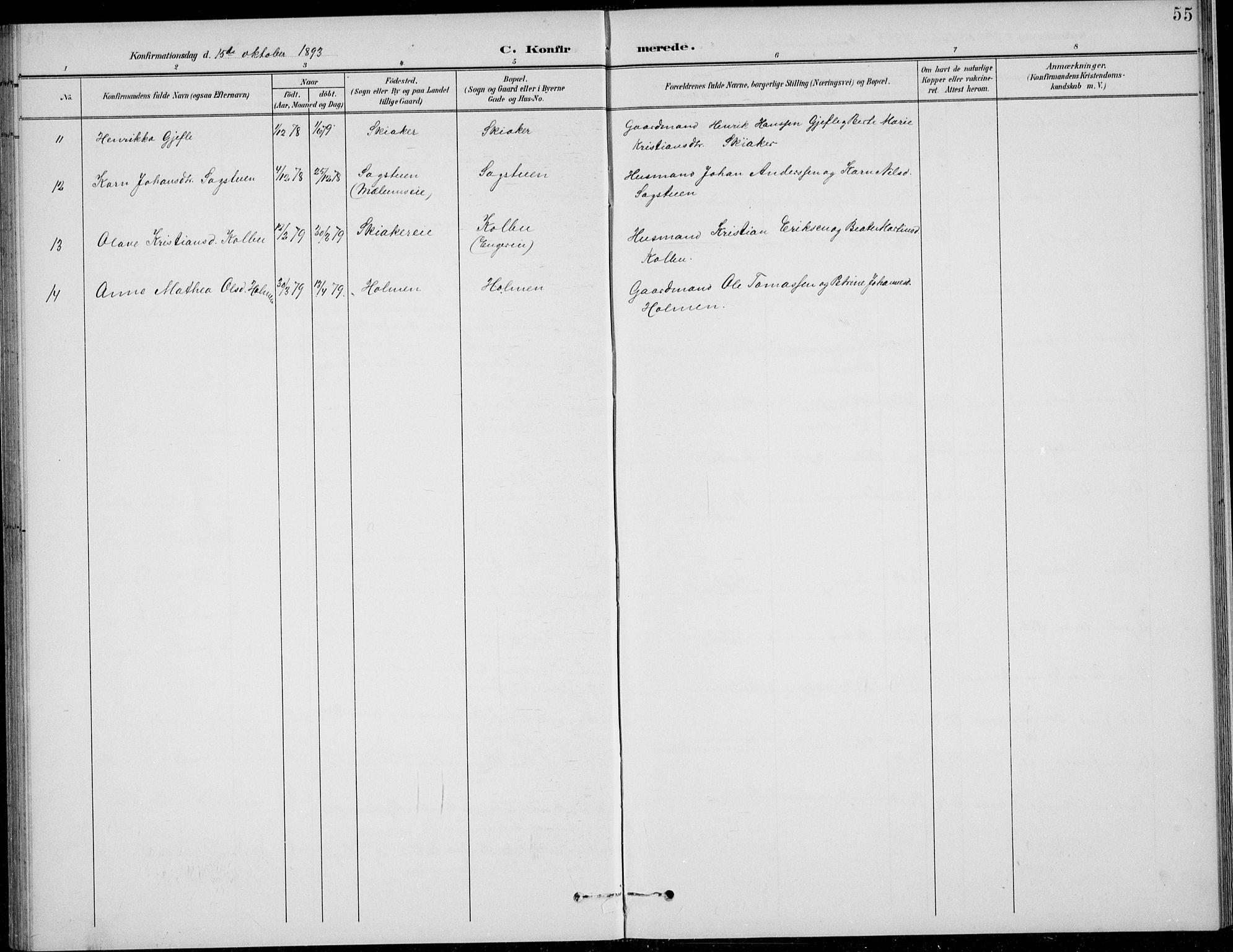 Nordre Land prestekontor, SAH/PREST-124/H/Ha/Hab/L0014: Parish register (copy) no. 14, 1891-1907, p. 55