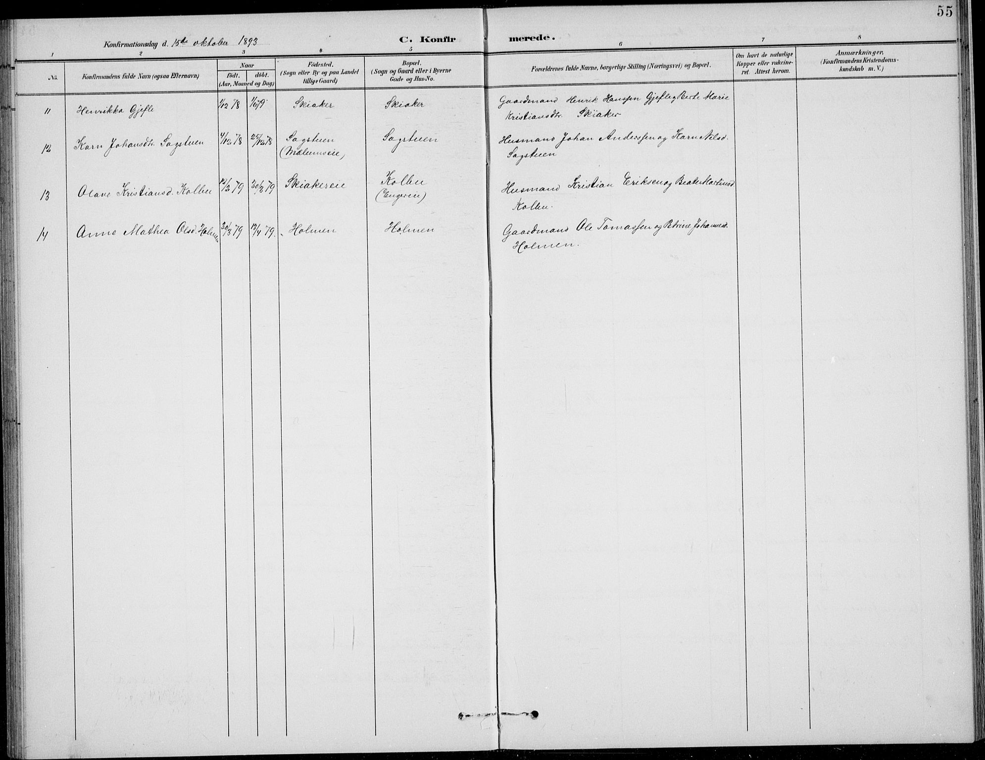 Nordre Land prestekontor, AV/SAH-PREST-124/H/Ha/Hab/L0014: Parish register (copy) no. 14, 1891-1907, p. 55