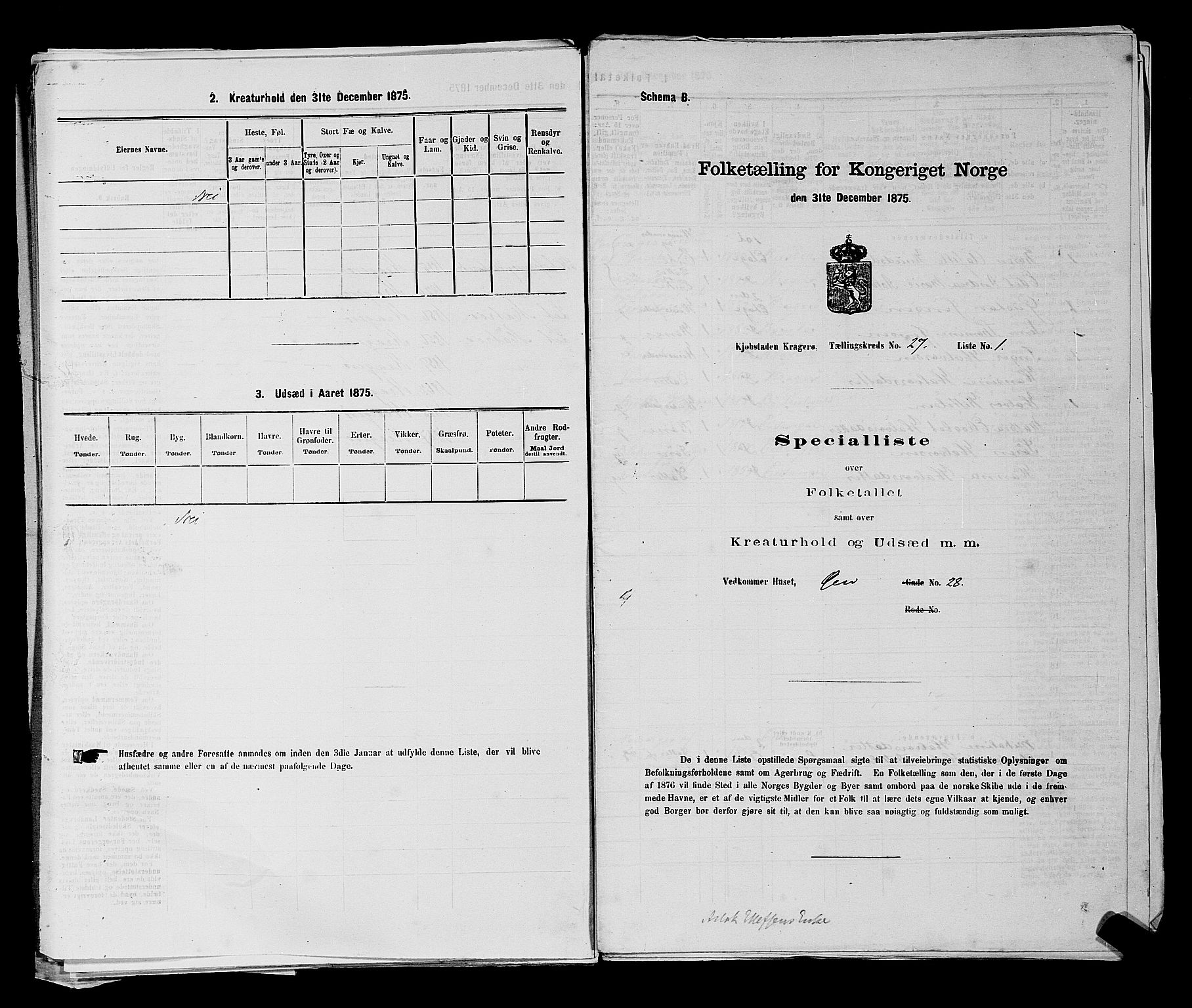 SAKO, 1875 census for 0801P Kragerø, 1875, p. 584