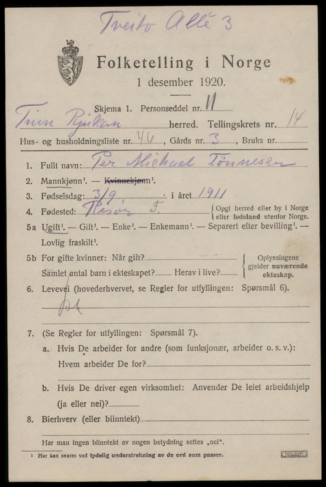 SAKO, 1920 census for Tinn, 1920, p. 10038