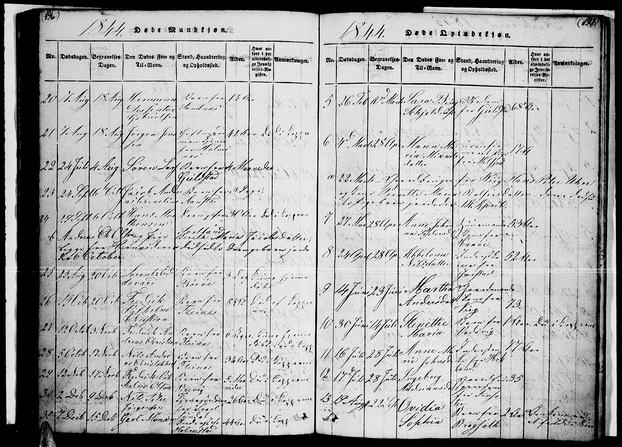 Ministerialprotokoller, klokkerbøker og fødselsregistre - Nordland, AV/SAT-A-1459/888/L1263: Parish register (copy) no. 888C02 /1, 1820-1850, p. 196-197