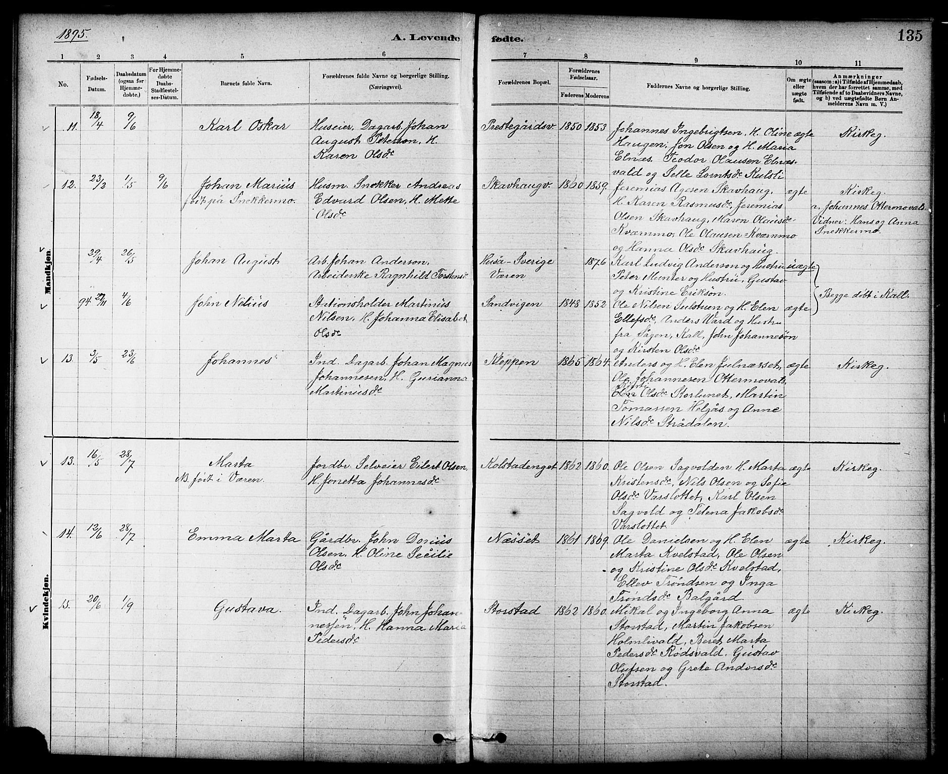 Ministerialprotokoller, klokkerbøker og fødselsregistre - Nord-Trøndelag, AV/SAT-A-1458/724/L0267: Parish register (copy) no. 724C03, 1879-1898, p. 135