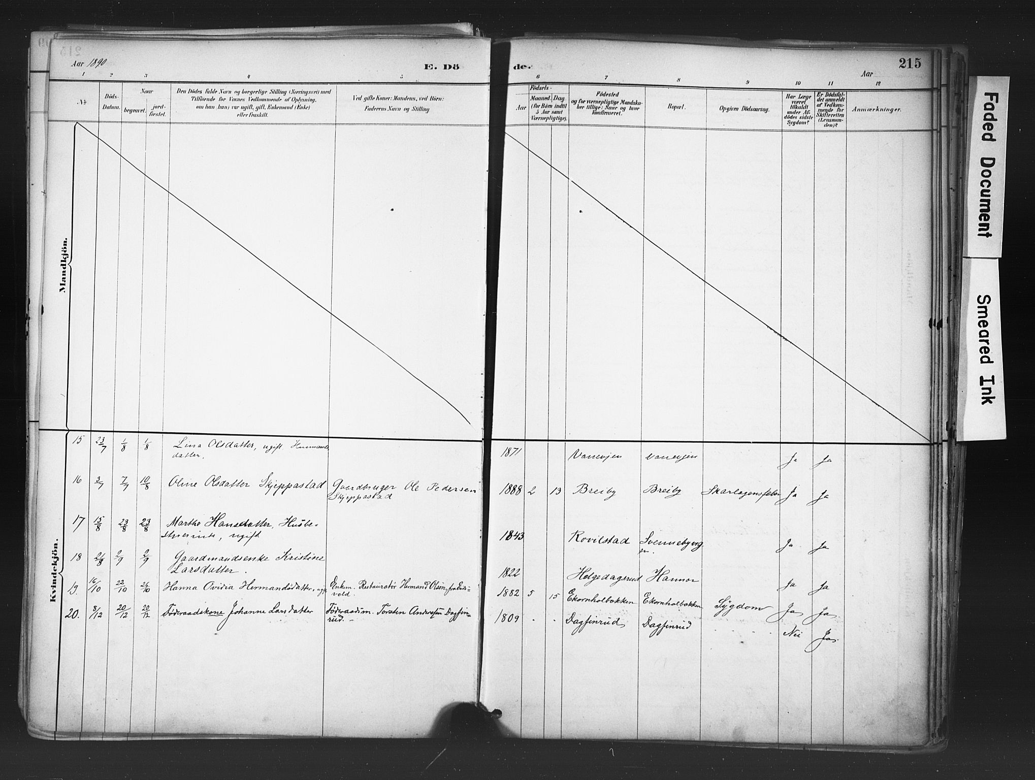 Nord-Odal prestekontor, AV/SAH-PREST-032/H/Ha/Haa/L0006: Parish register (official) no. 6, 1886-1901, p. 215