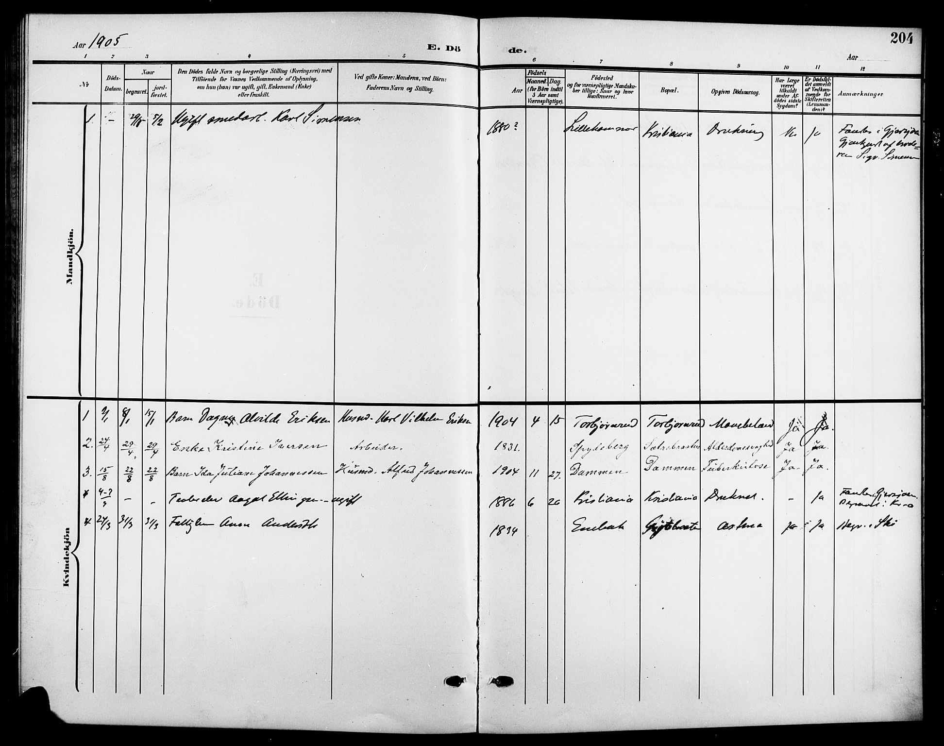 Nesodden prestekontor Kirkebøker, SAO/A-10013/G/Gb/L0001: Parish register (copy) no. II 1, 1905-1924, p. 204