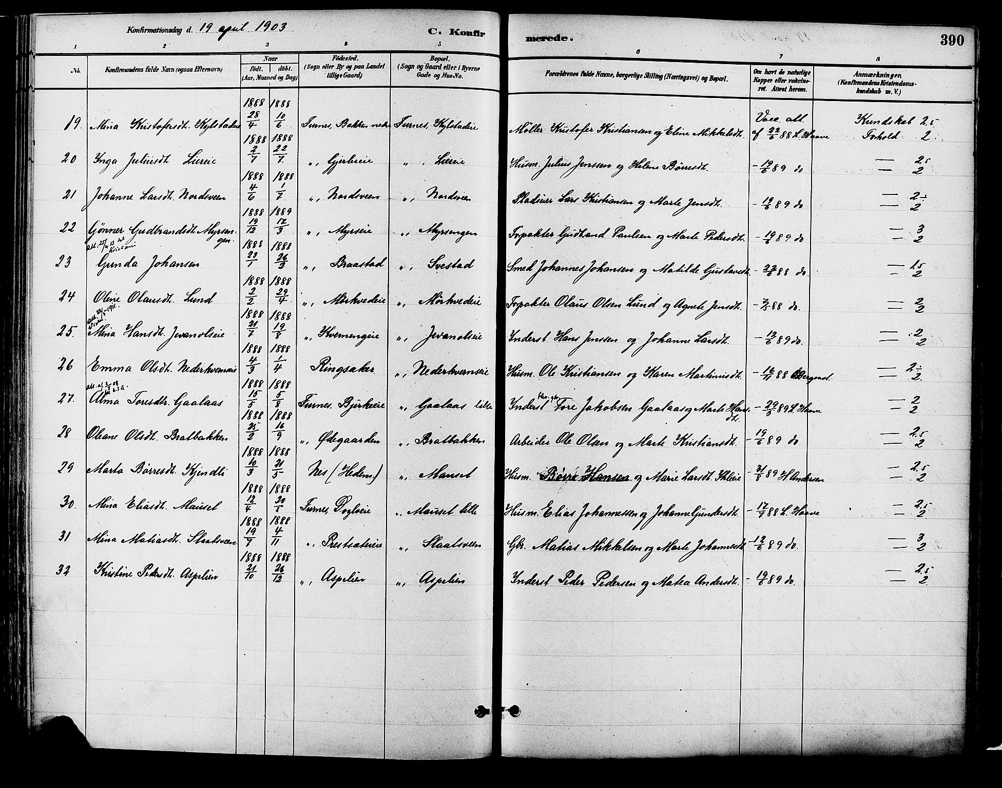 Vang prestekontor, Hedmark, SAH/PREST-008/H/Ha/Haa/L0018B: Parish register (official) no. 18B, 1880-1906, p. 390