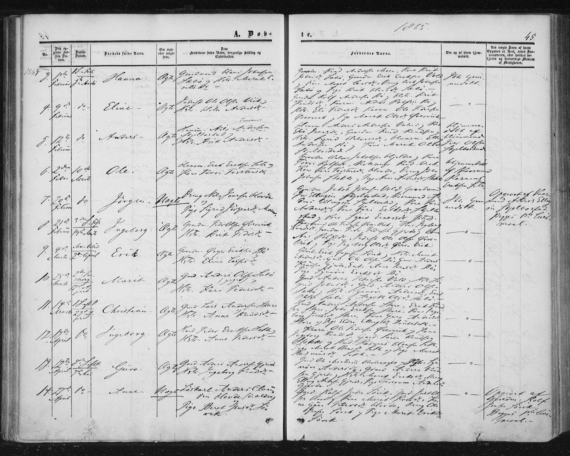 Ministerialprotokoller, klokkerbøker og fødselsregistre - Møre og Romsdal, AV/SAT-A-1454/543/L0562: Parish register (official) no. 543A02, 1854-1884, p. 45